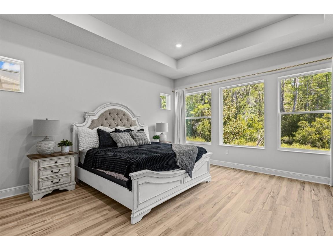 15329 Renaissance Avenue Odessa FL 33556 TB8375590 image8