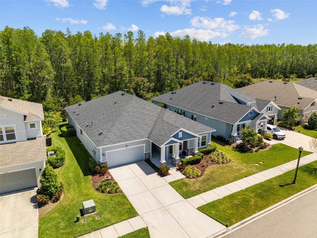 15329 Renaissance Avenue Odessa FL 33556 TB8375590 image9