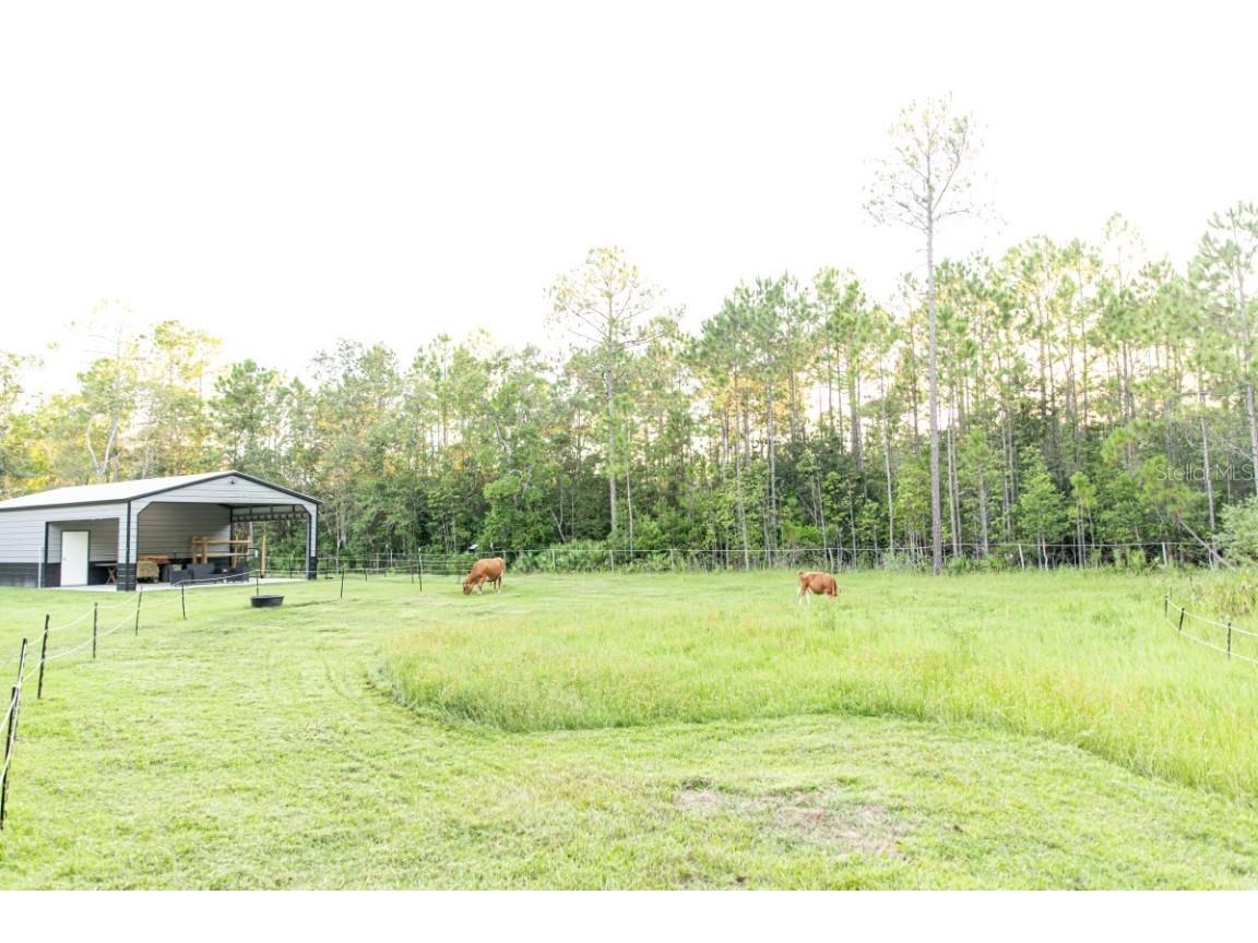 1533 County Road 13 Bunnell FL 32110 A4667609 image40