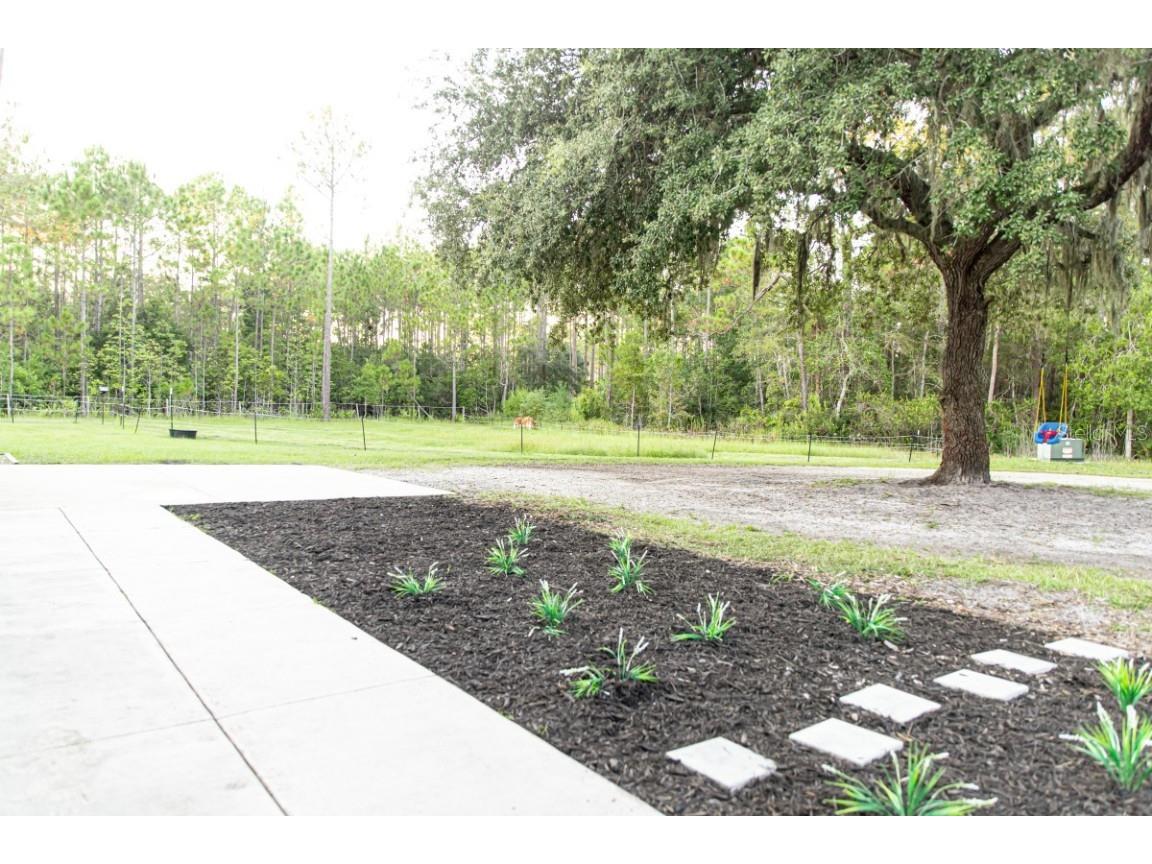 1533 County Road 13 Bunnell FL 32110 A4667609 image49