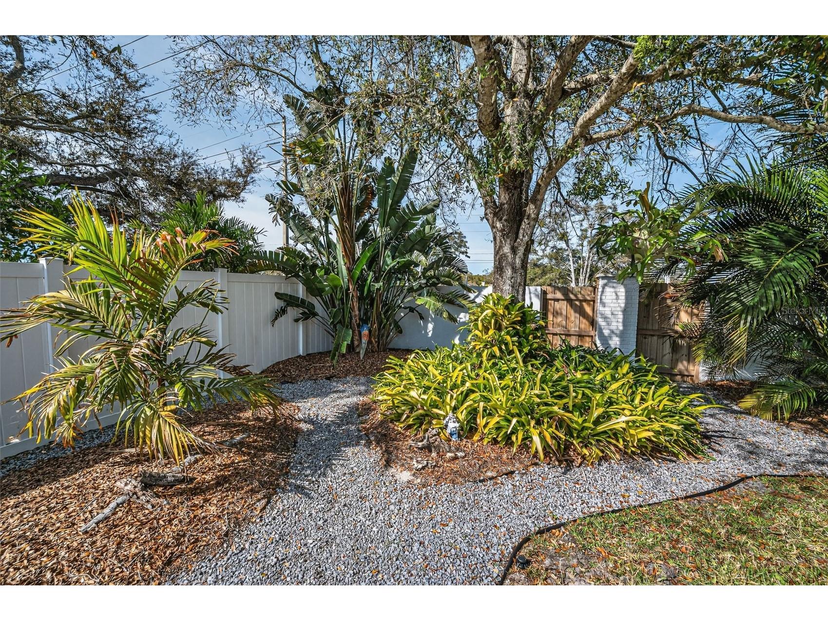 1533 Foxcroft Drive W Palm Harbor FL 34683 TB8479617 image37