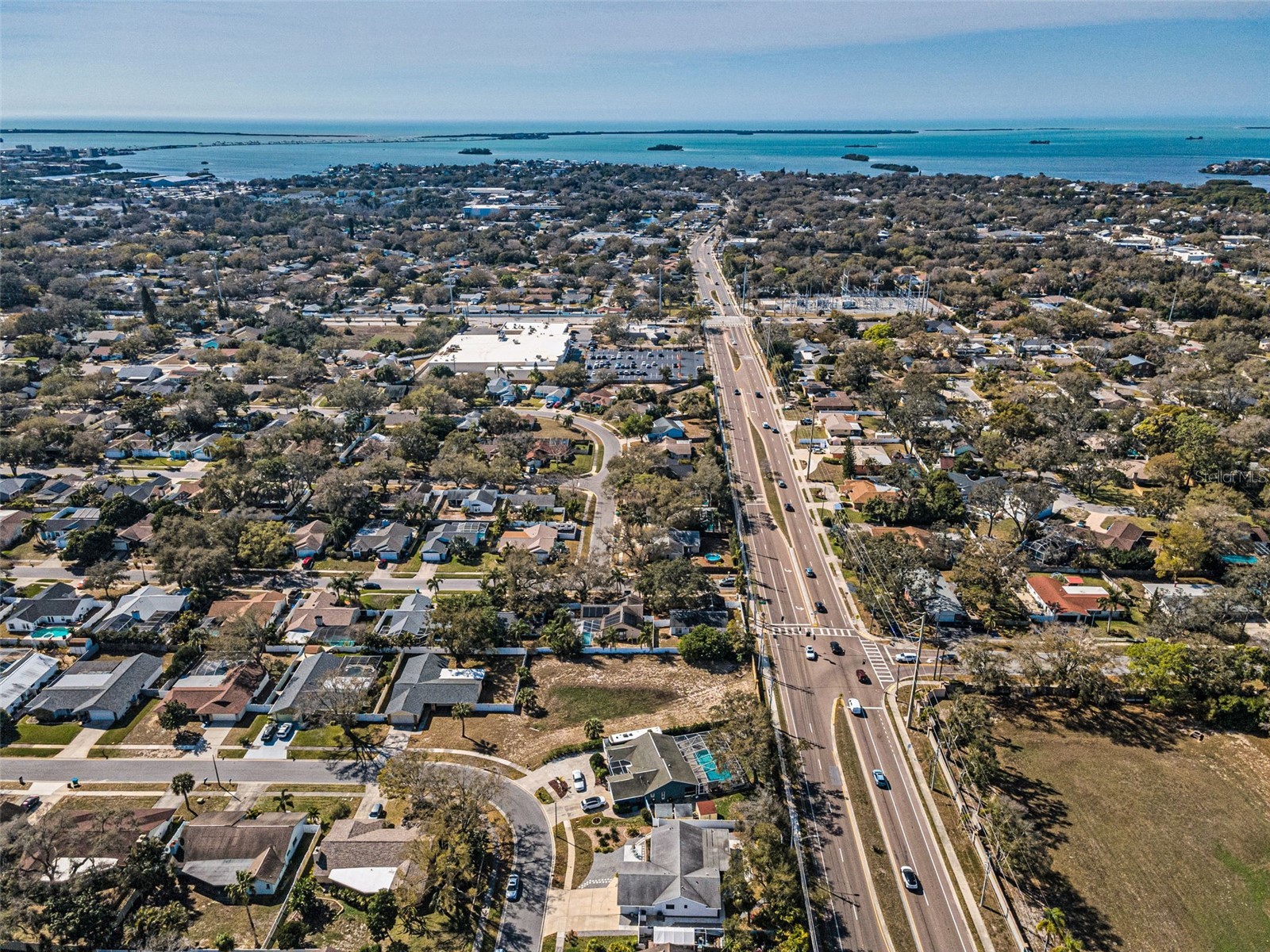 1533 Foxcroft Drive W Palm Harbor FL 34683 TB8479617 image4