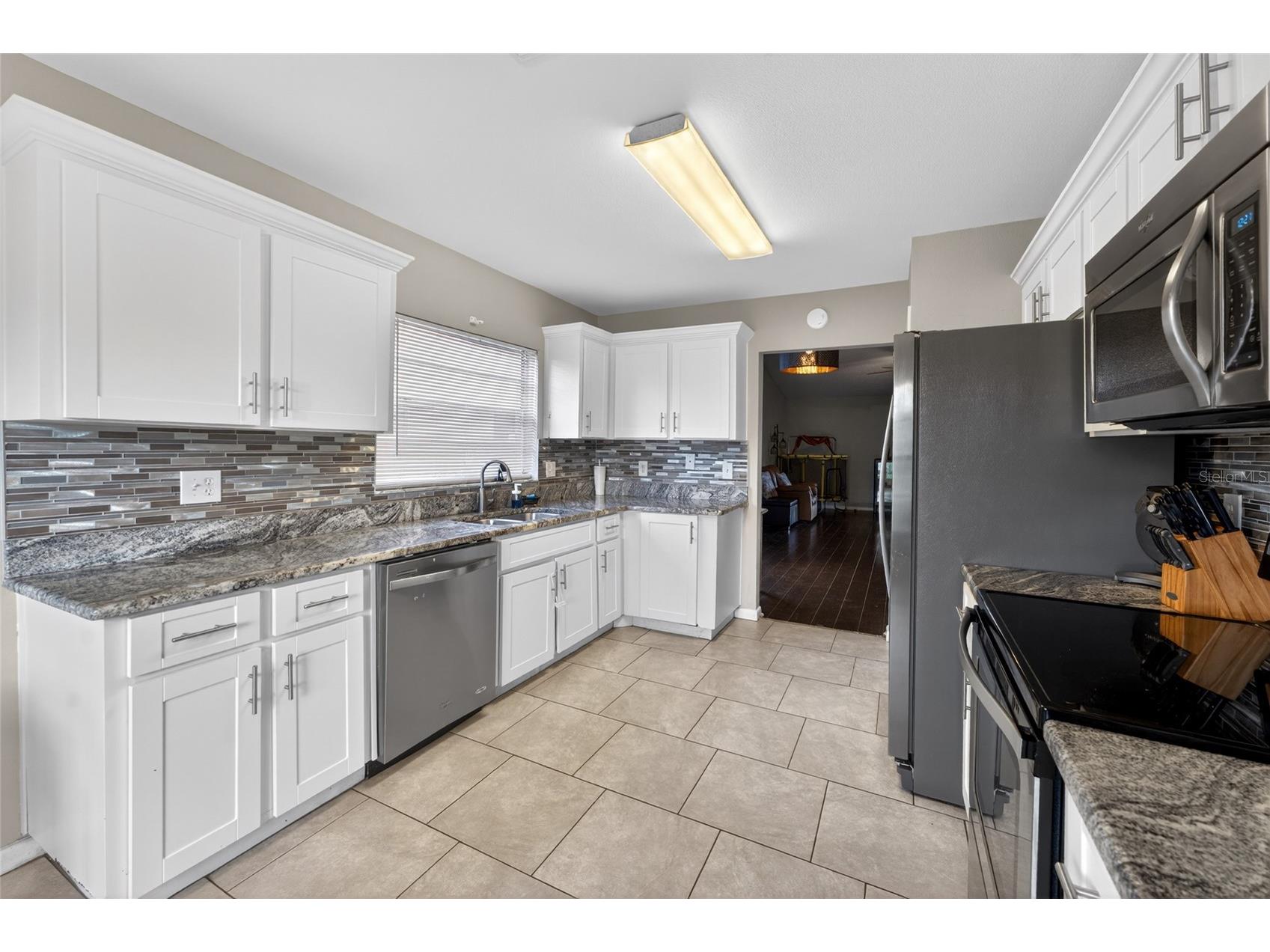 1533 Gunsmith Drive Lutz FL 33559 TB8504946 image13