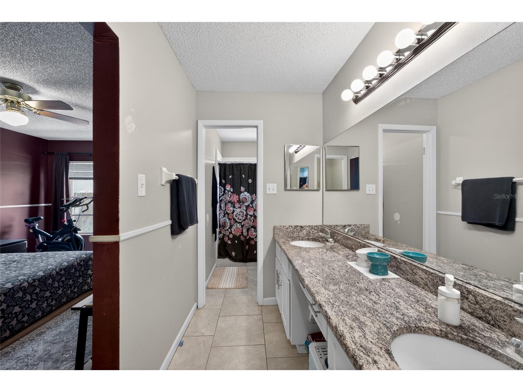 1533 Gunsmith Drive Lutz FL 33559 TB8504946 image17