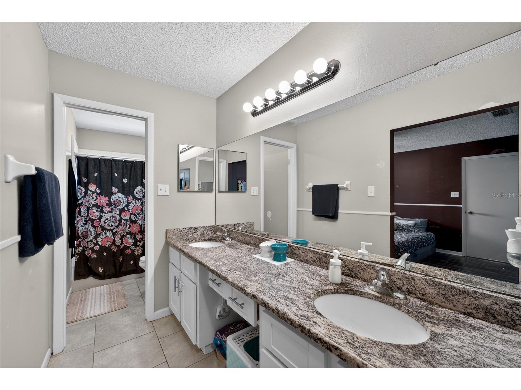 1533 Gunsmith Drive Lutz FL 33559 TB8504946 image18