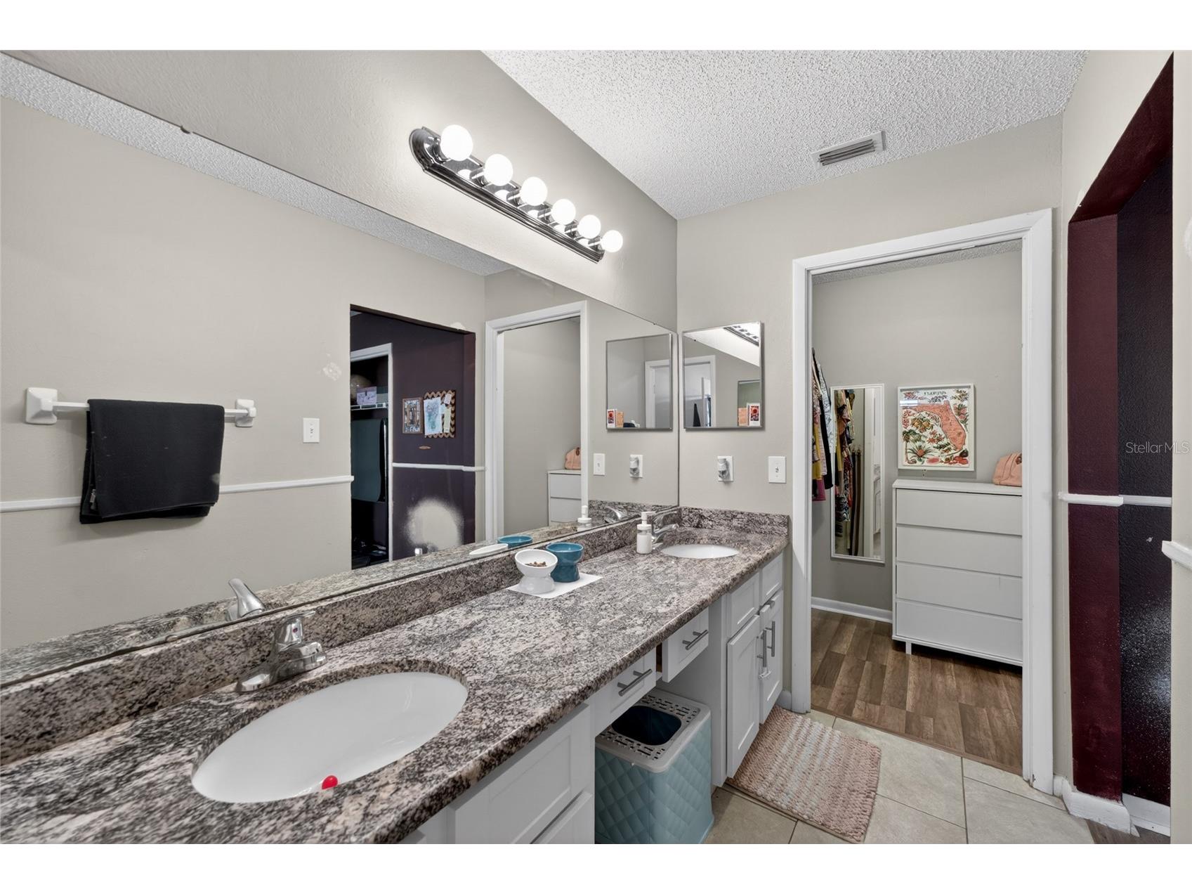 1533 Gunsmith Drive Lutz FL 33559 TB8504946 image19