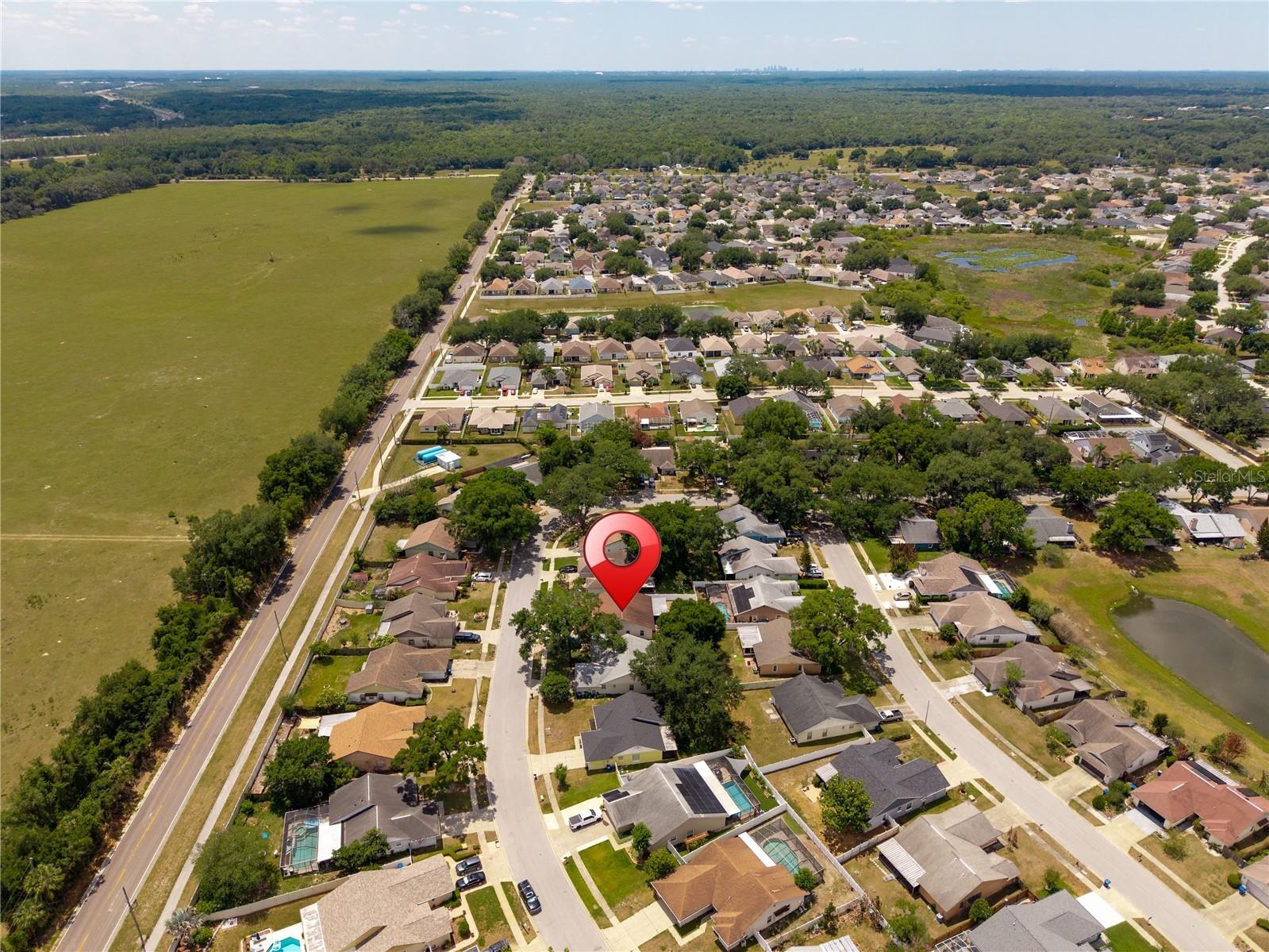 1533 Gunsmith Drive Lutz FL 33559 TB8504946 image33