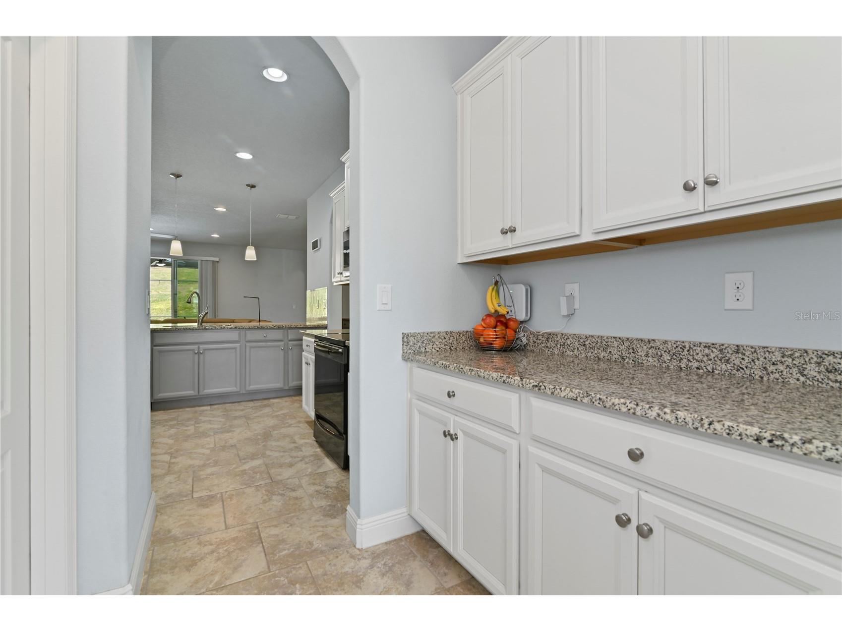 1533 Spinfisher Dr Apopka FL 32712 O6389616 image16