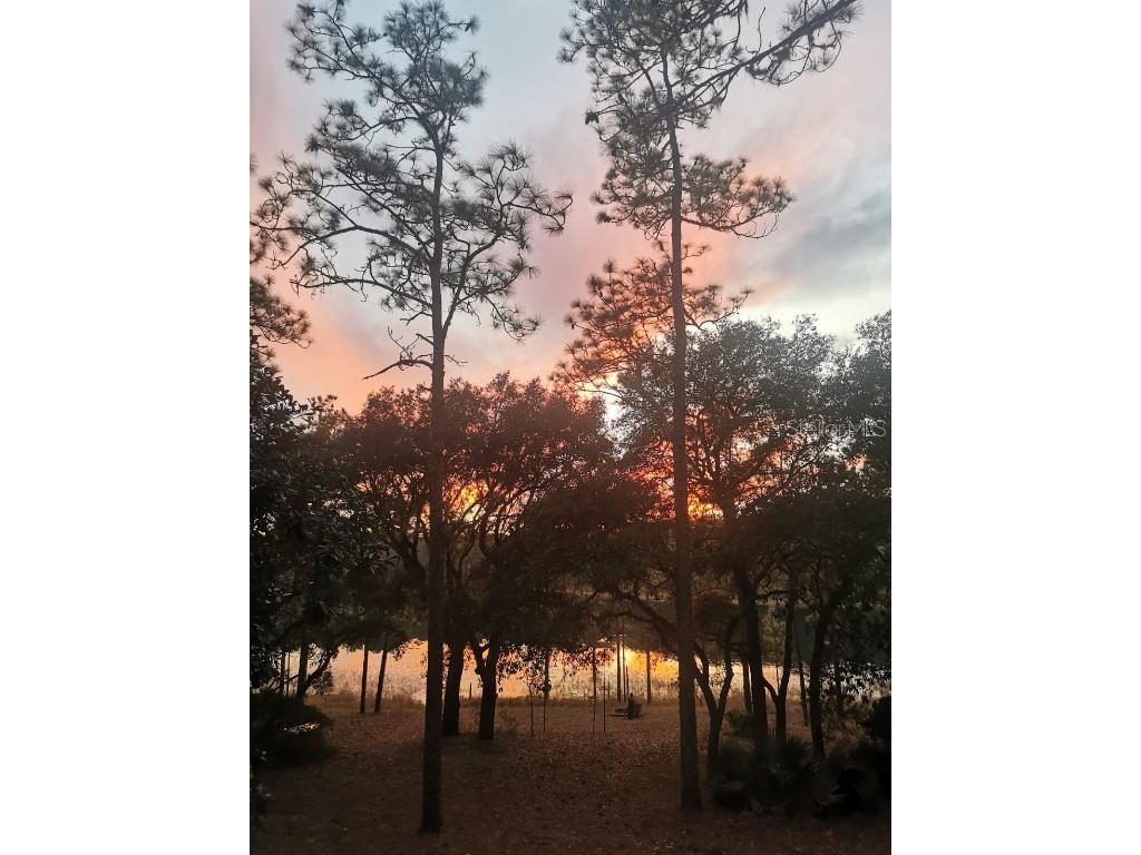 15330 SE 55th Place Road Ocklawaha FL 32179 OM671254 image1