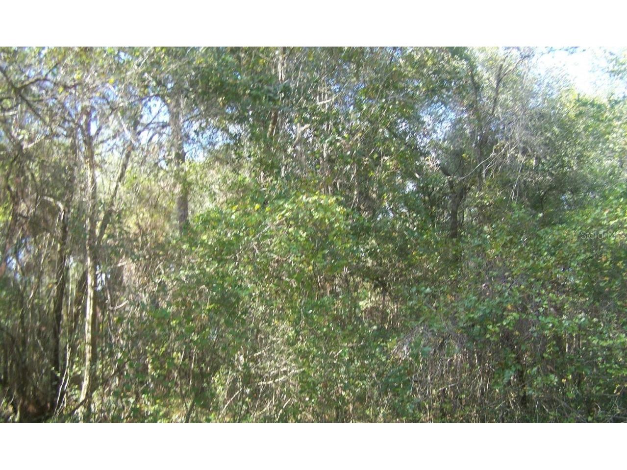 15330 Tuckaway Lane Spring Hill FL 34610 W7854513 image1