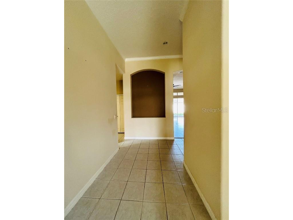 15331 Hayworth Drive Winter Garden FL 34787 G5105332 image22