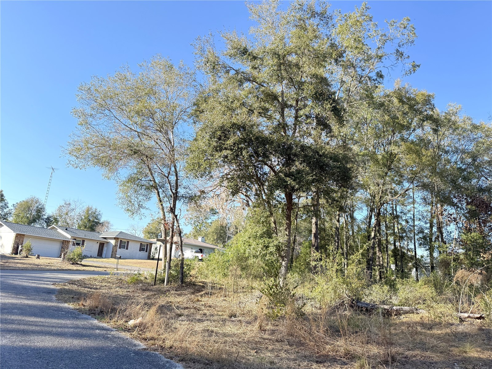 15331 NE 3rd Lane Williston FL 32696 OM717512 image2