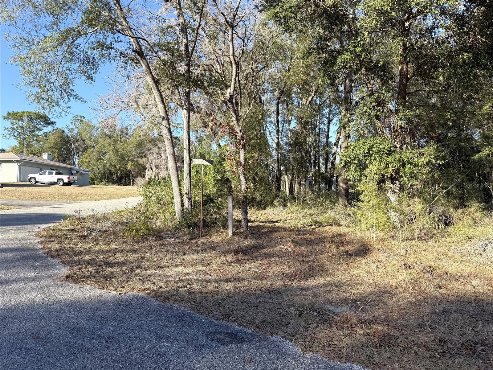 15331 NE 3rd Lane Williston FL 32696 OM717512 image3