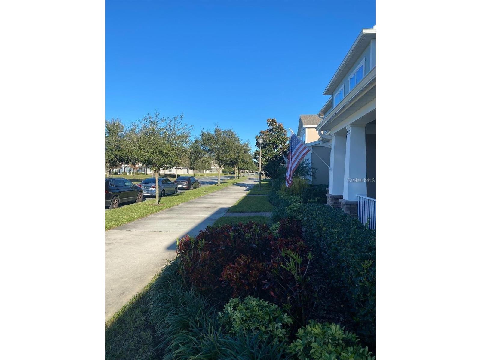 15334 Murcott Blossom Boulevard Winter Garden FL 34787 O6392207 image3