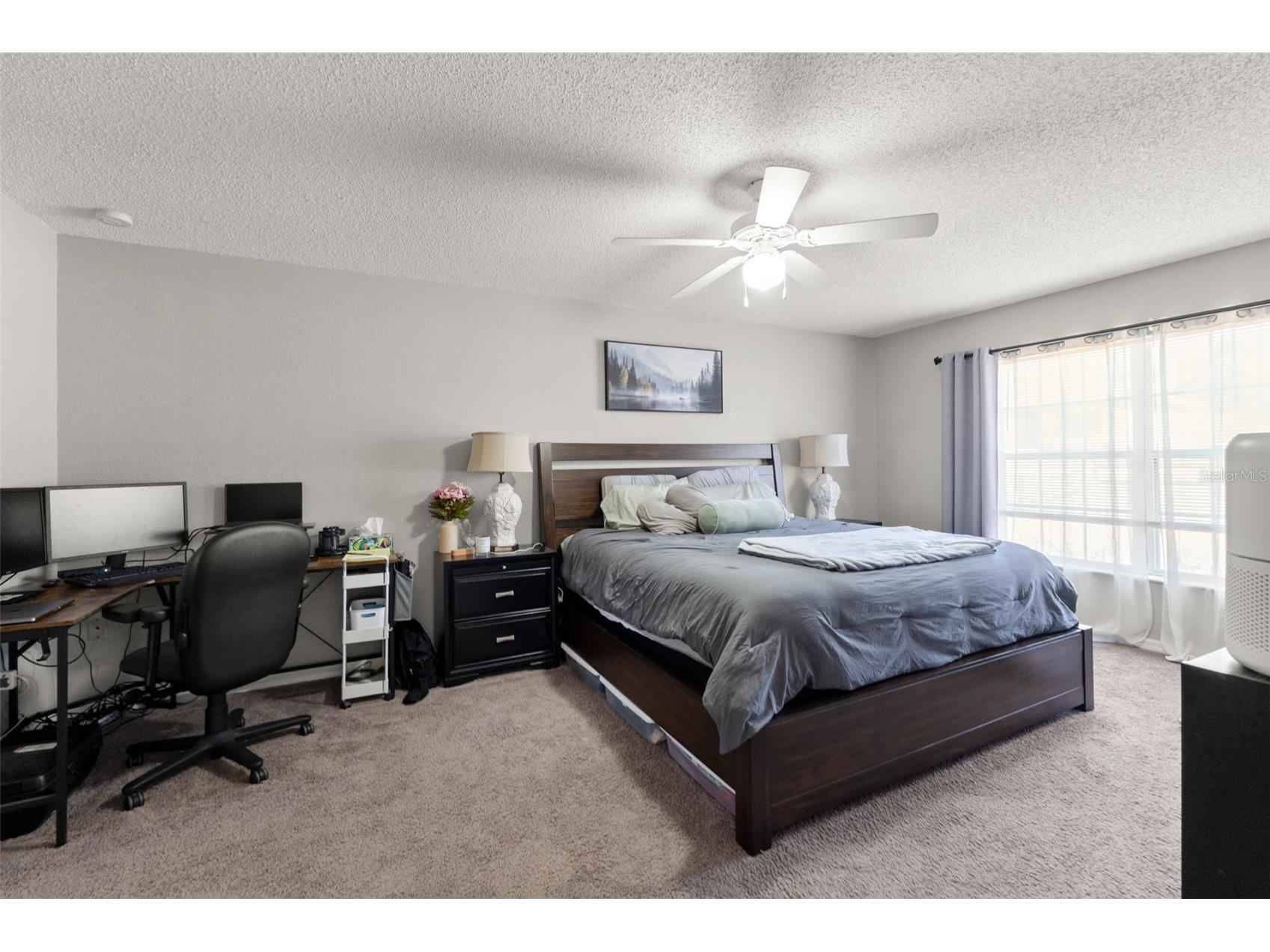 15335 Fleetwood Road Weeki Wachee FL 34614 W7882914 image10