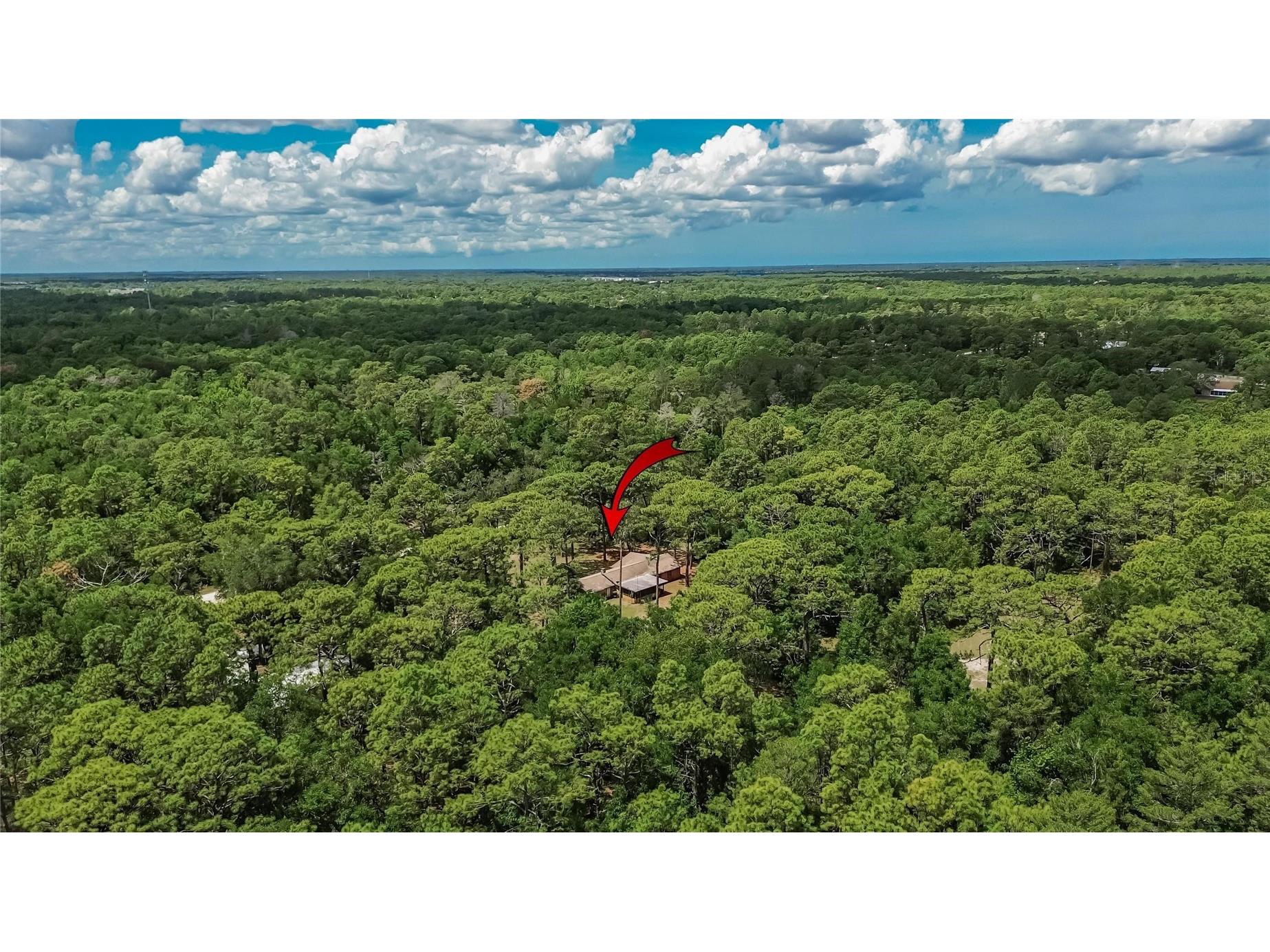 15337 Virts Avenue Brooksville FL 34604 TB8511487 image29