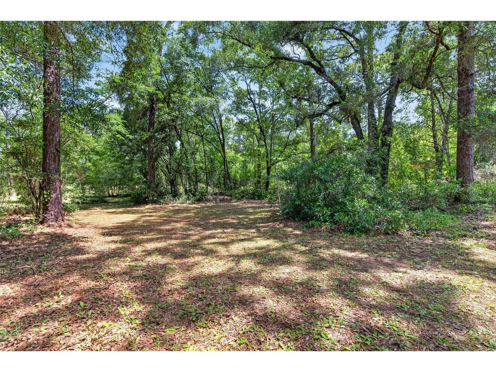 15337 Virts Avenue Brooksville FL 34604 TB8511487 image30