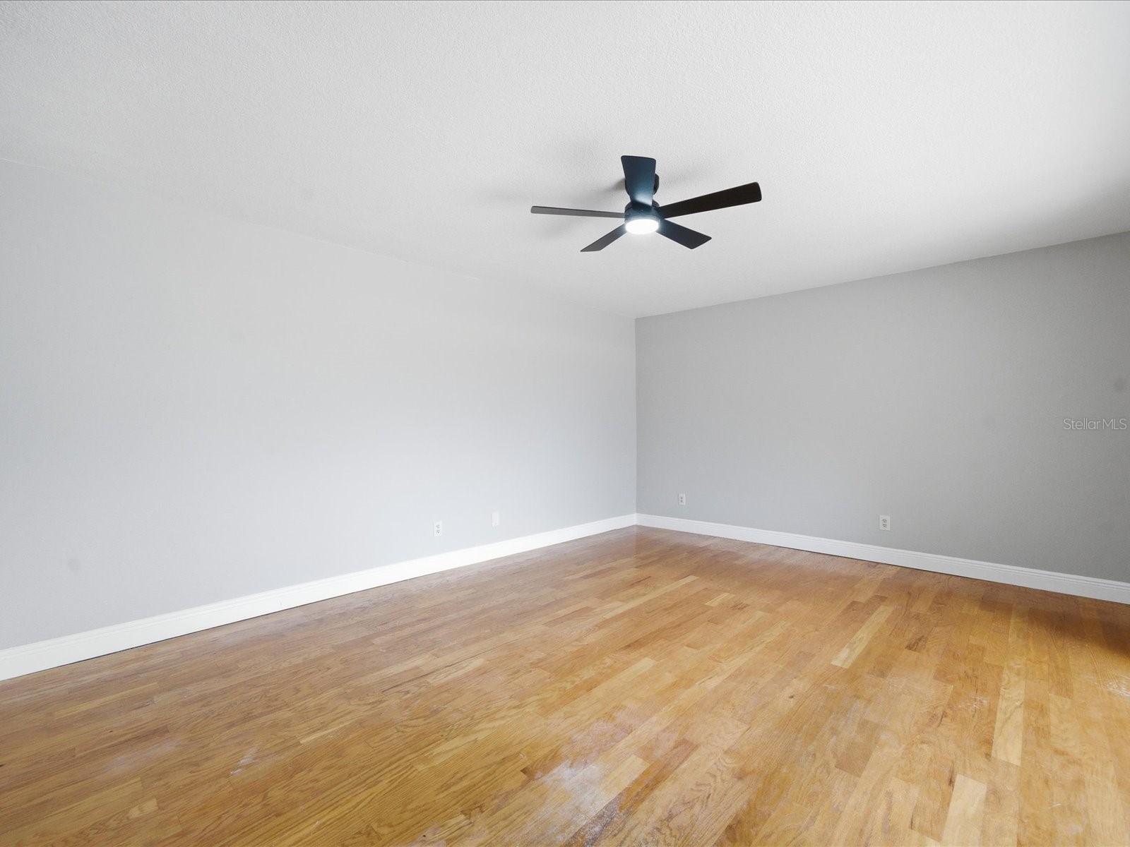 15338 E Pond Woods Drive #15338 Tampa FL 33618 TB8509183 image6