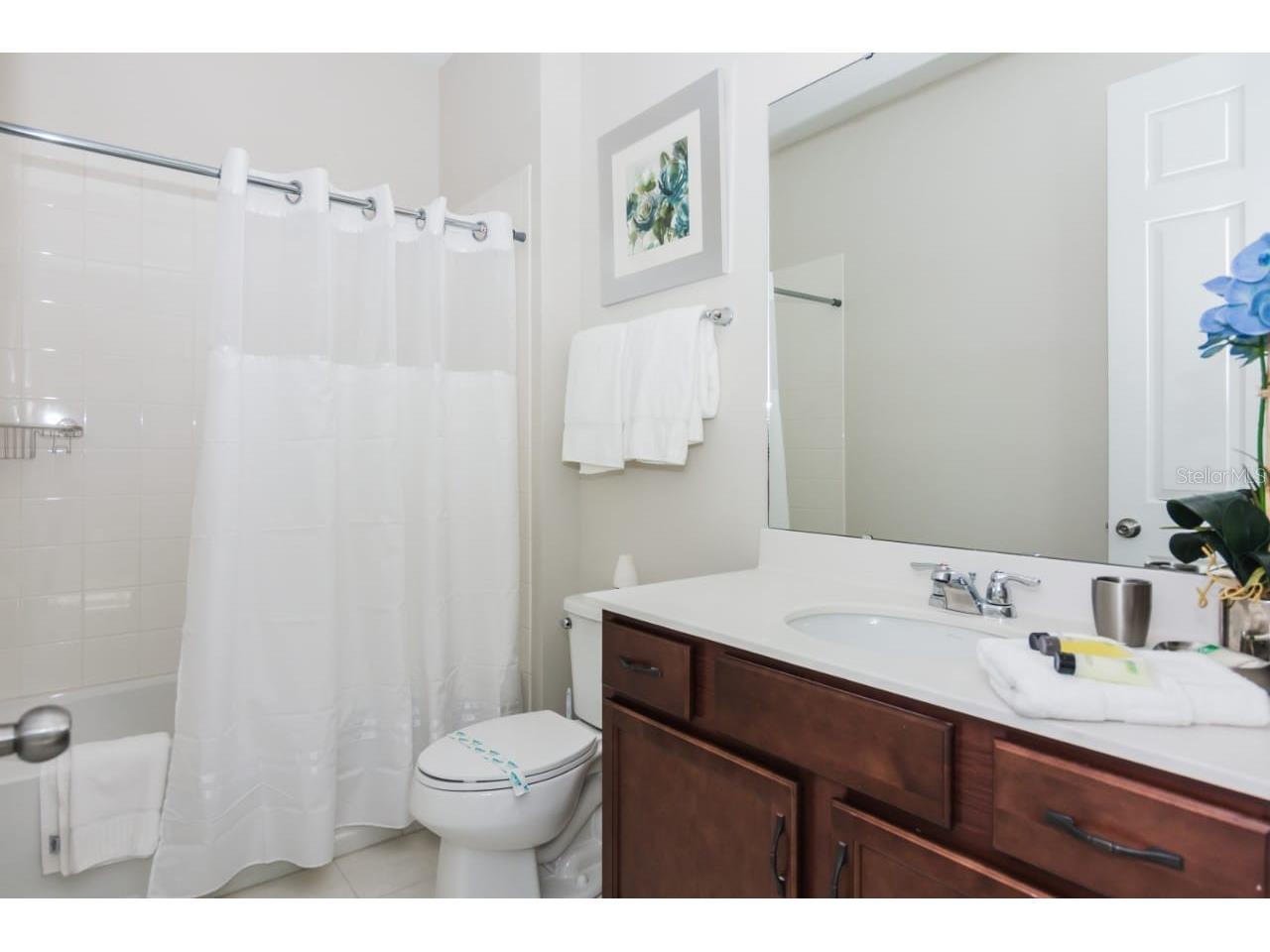 1534 Carey Palm Circle Kissimmee FL 34747 TB8482952 image10