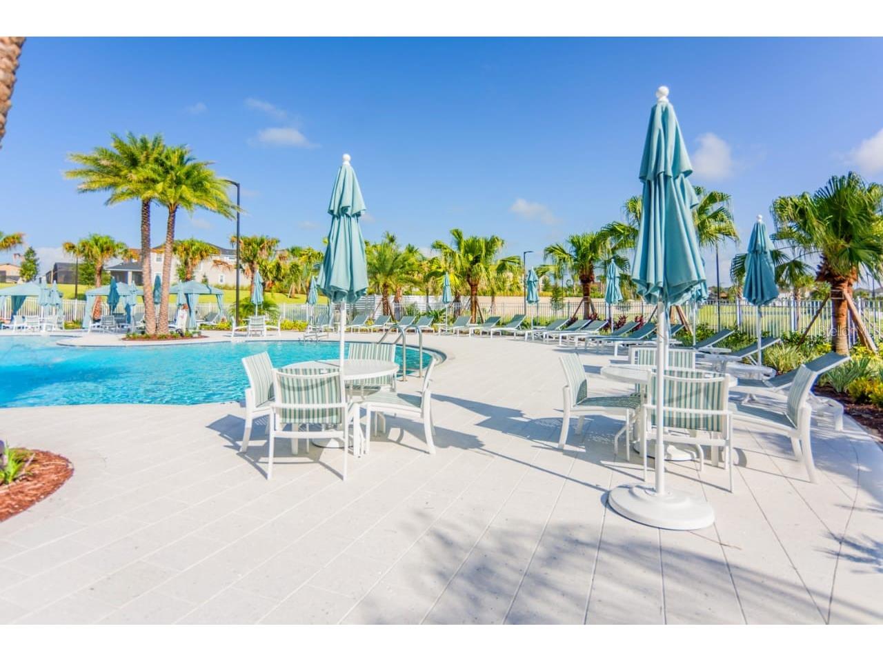 1534 Carey Palm Circle Kissimmee FL 34747 TB8482952 image48