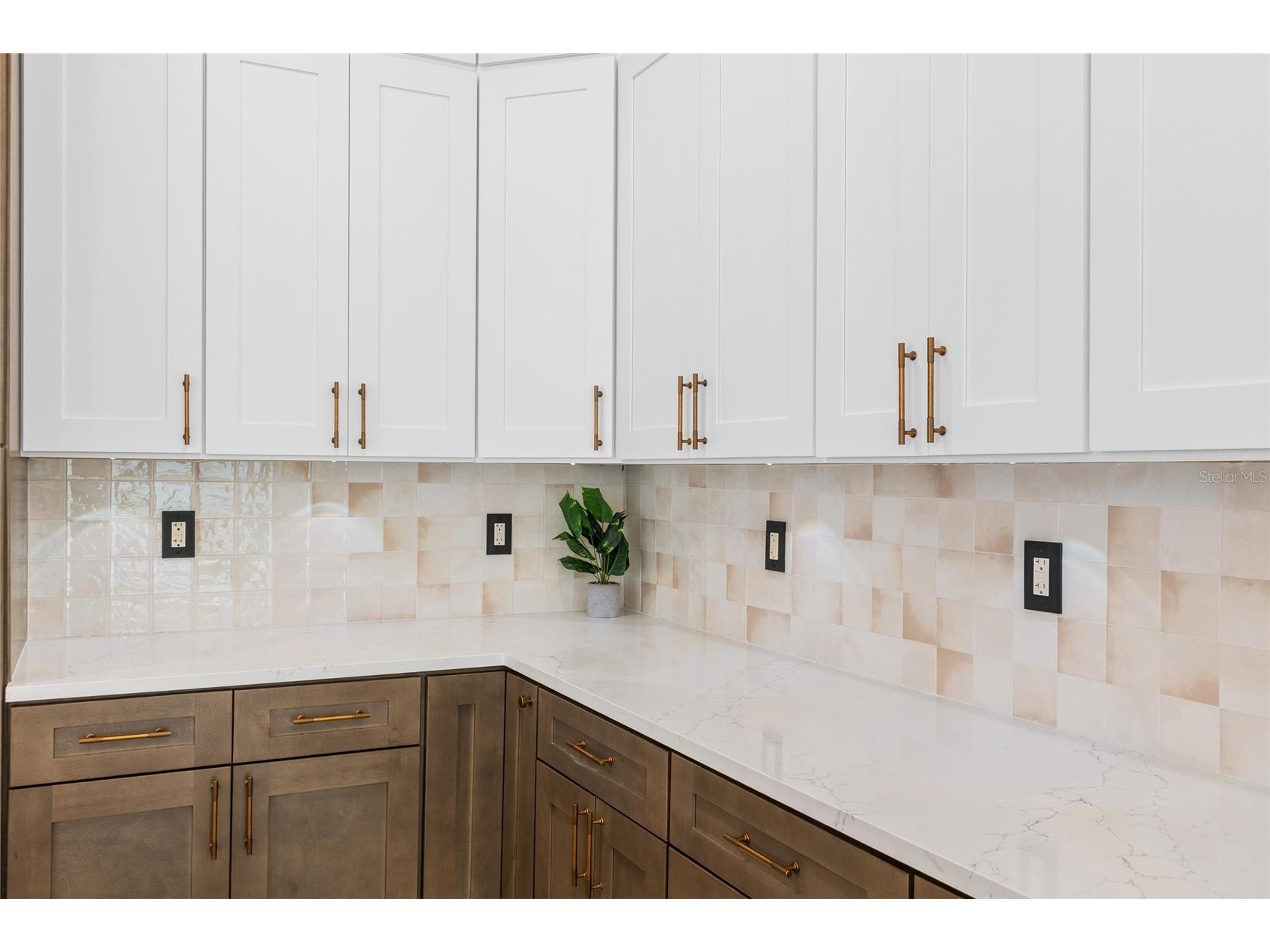 1534 E Lake Woodlands Parkway Oldsmar FL 34677 TB8509589 image19