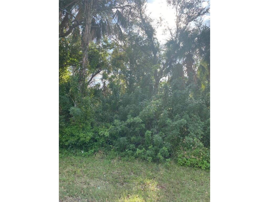 1534 Paxton Terrace Port Charlotte FL 33952 O6177578 image4