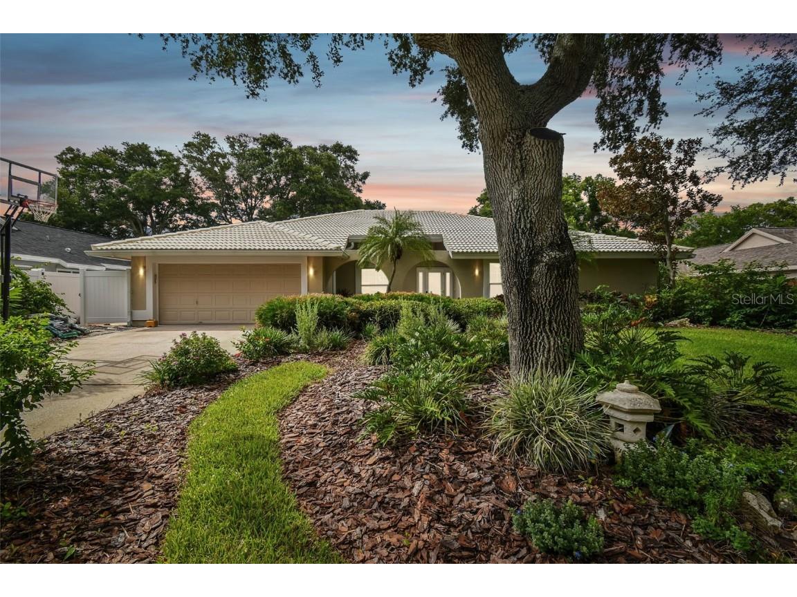 1534 Sand Hollow Court Palm Harbor FL 34683 U8255250 image1