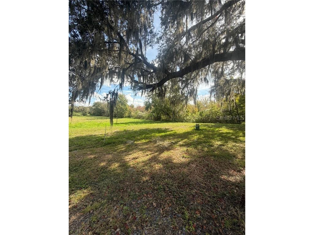 15340 Mallory Lane Clermont FL 34715 G5105127 image3