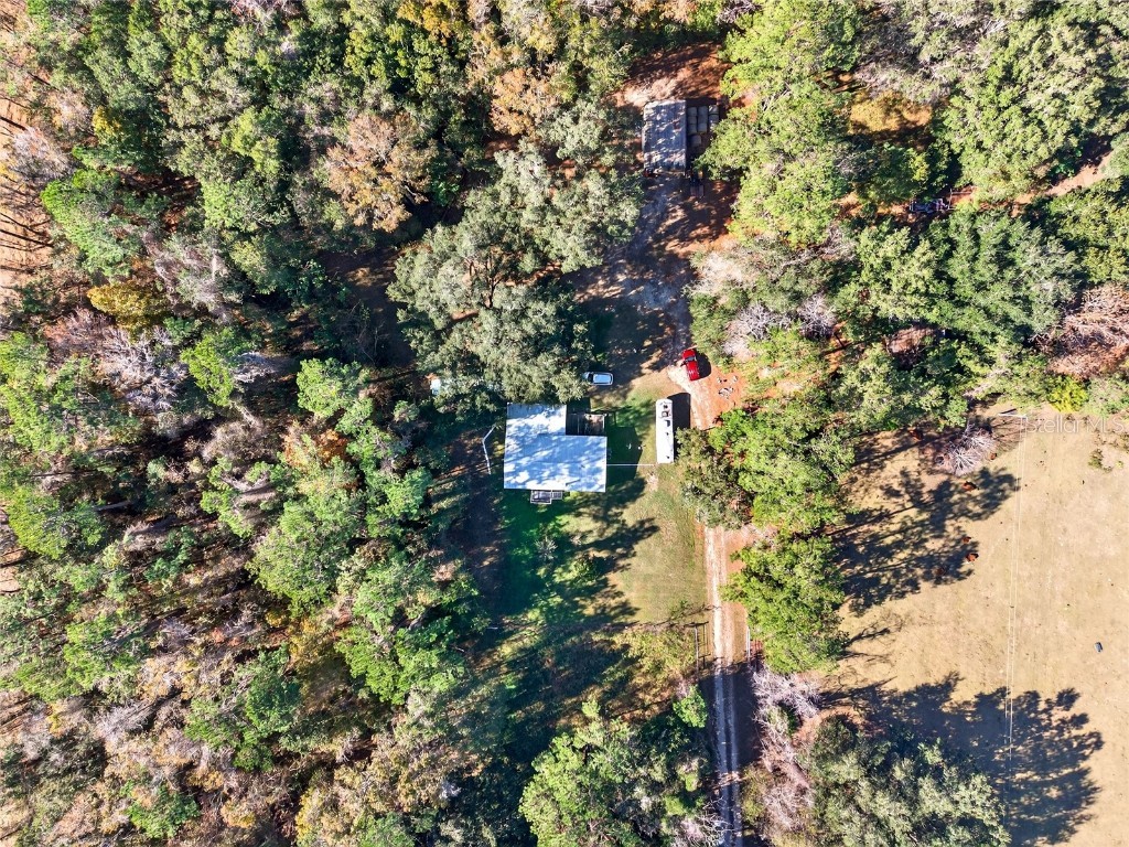 15340 NW 65th Avenue Road Reddick FL 32686 OM715194 image28