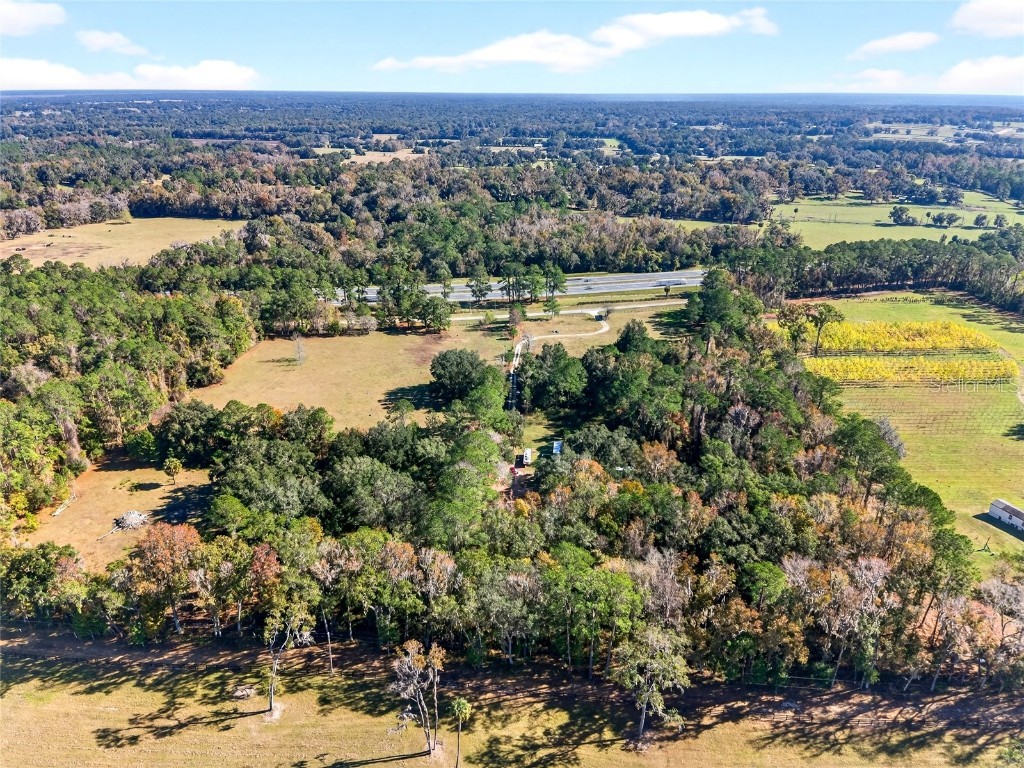 15340 NW 65th Avenue Road Reddick FL 32686 OM715194 image29