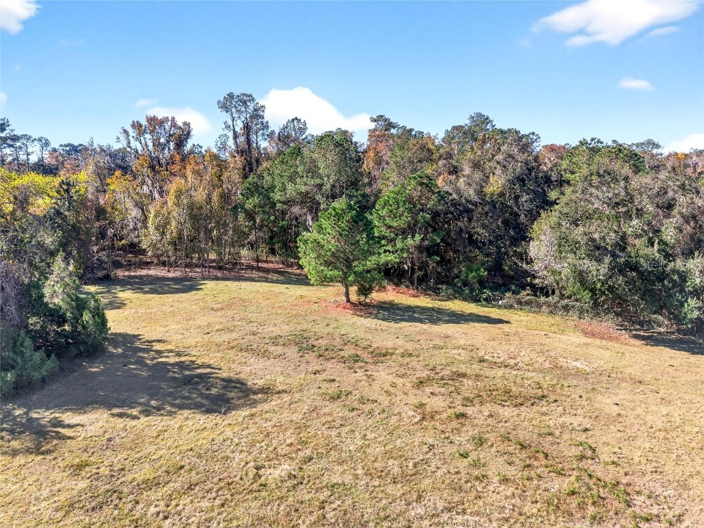 15340 NW 65th Avenue Road Reddick FL 32686 OM715194 image35