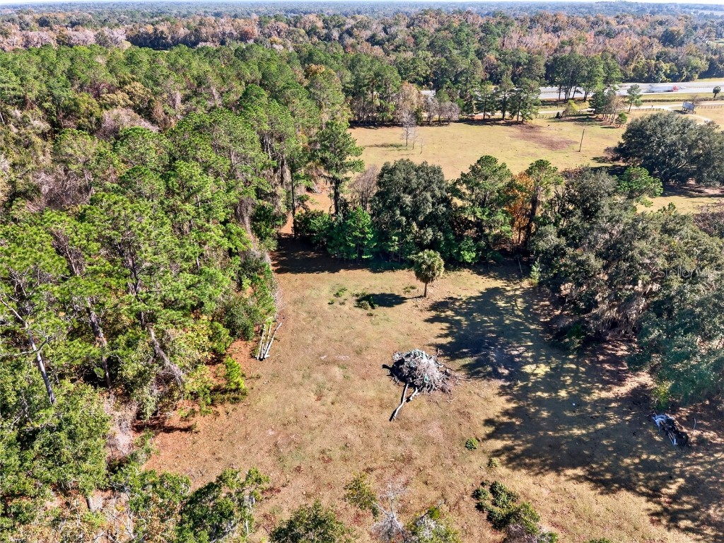 15340 NW 65th Avenue Road Reddick FL 32686 OM715194 image37