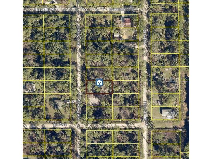 1535 East Parkway Deland FL 32724 S5137473 image1