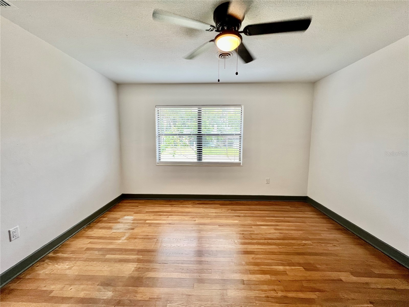 1535 Grove Street Clearwater FL 33755 TB8505330 image15
