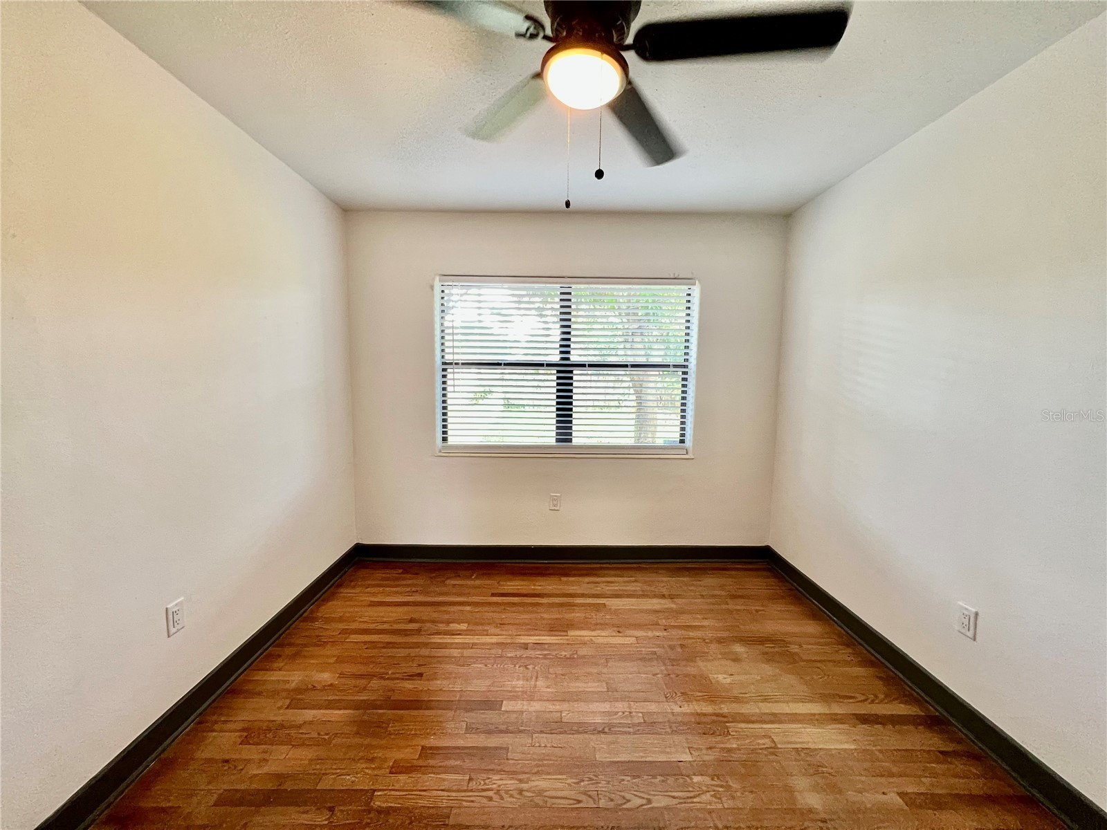 1535 Grove Street Clearwater FL 33755 TB8505330 image18