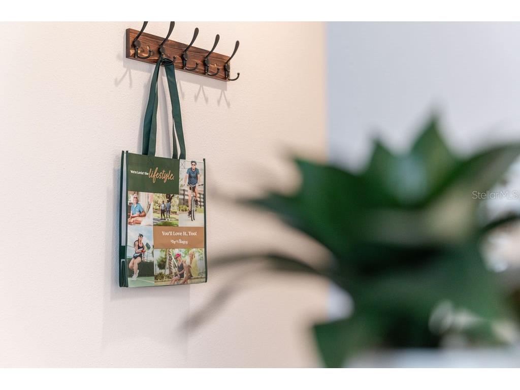 1535 Pj Martin Court The Villages FL 32163 G5104871 image31