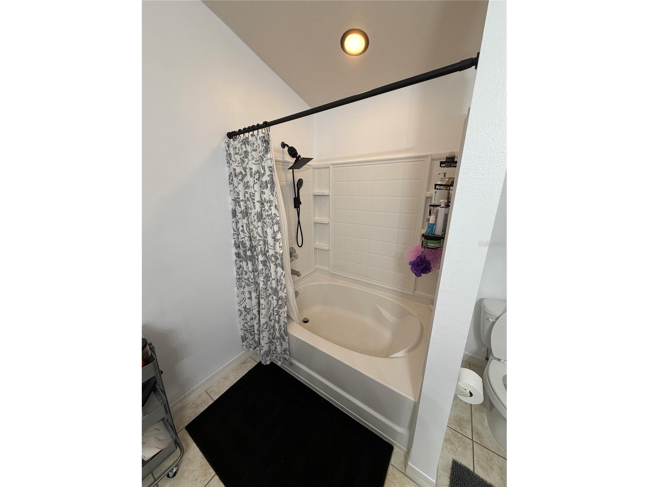 15353 Oak Apple Court Winter Garden FL 34787 O6393663 image11