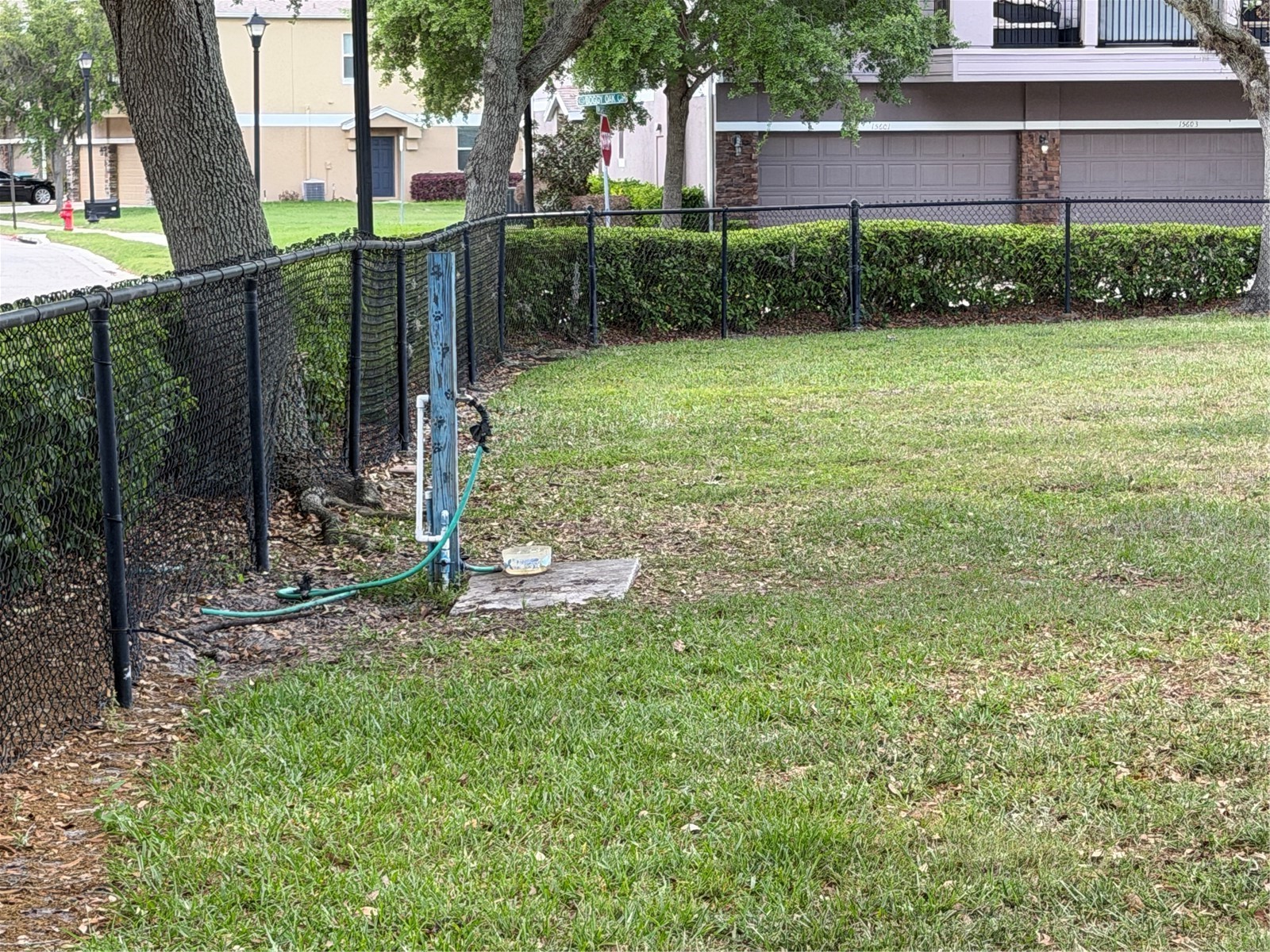 15353 Oak Apple Court Winter Garden FL 34787 O6393663 image16