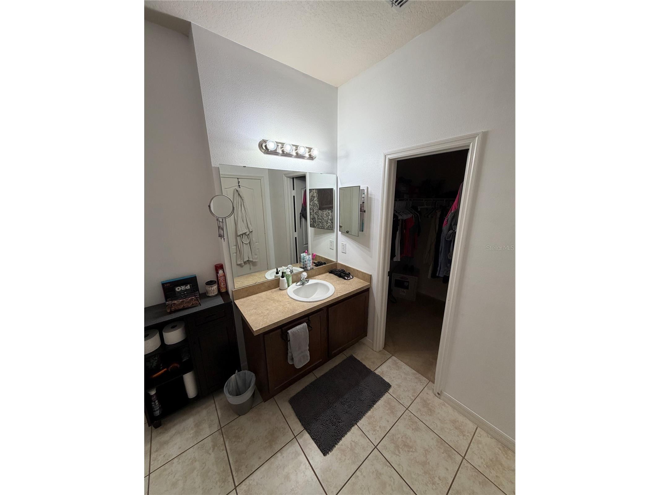 15353 Oak Apple Court Winter Garden FL 34787 O6393663 image9