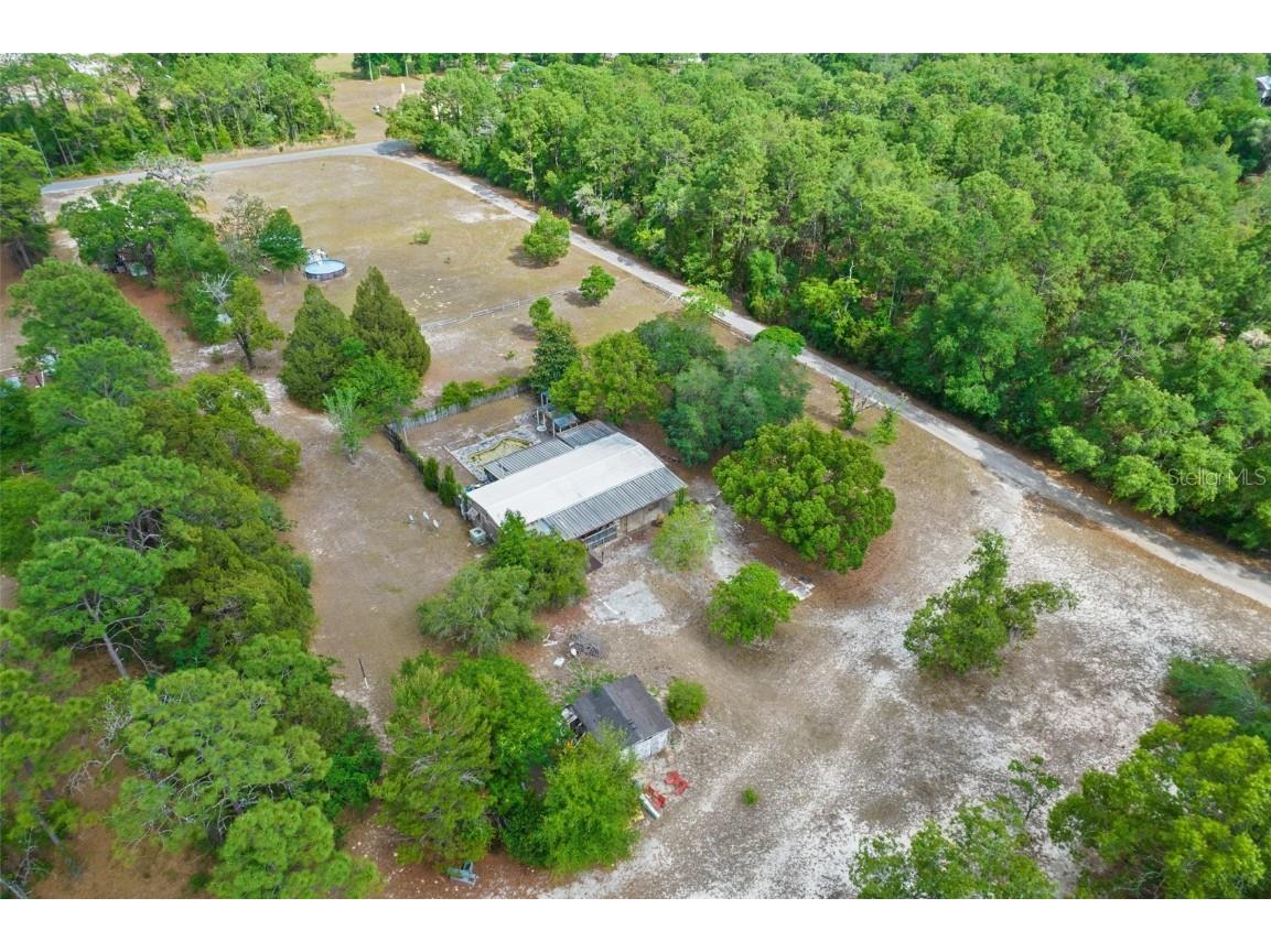 15357 Milton Avenue Brooksville FL 34604 W7854431 image1