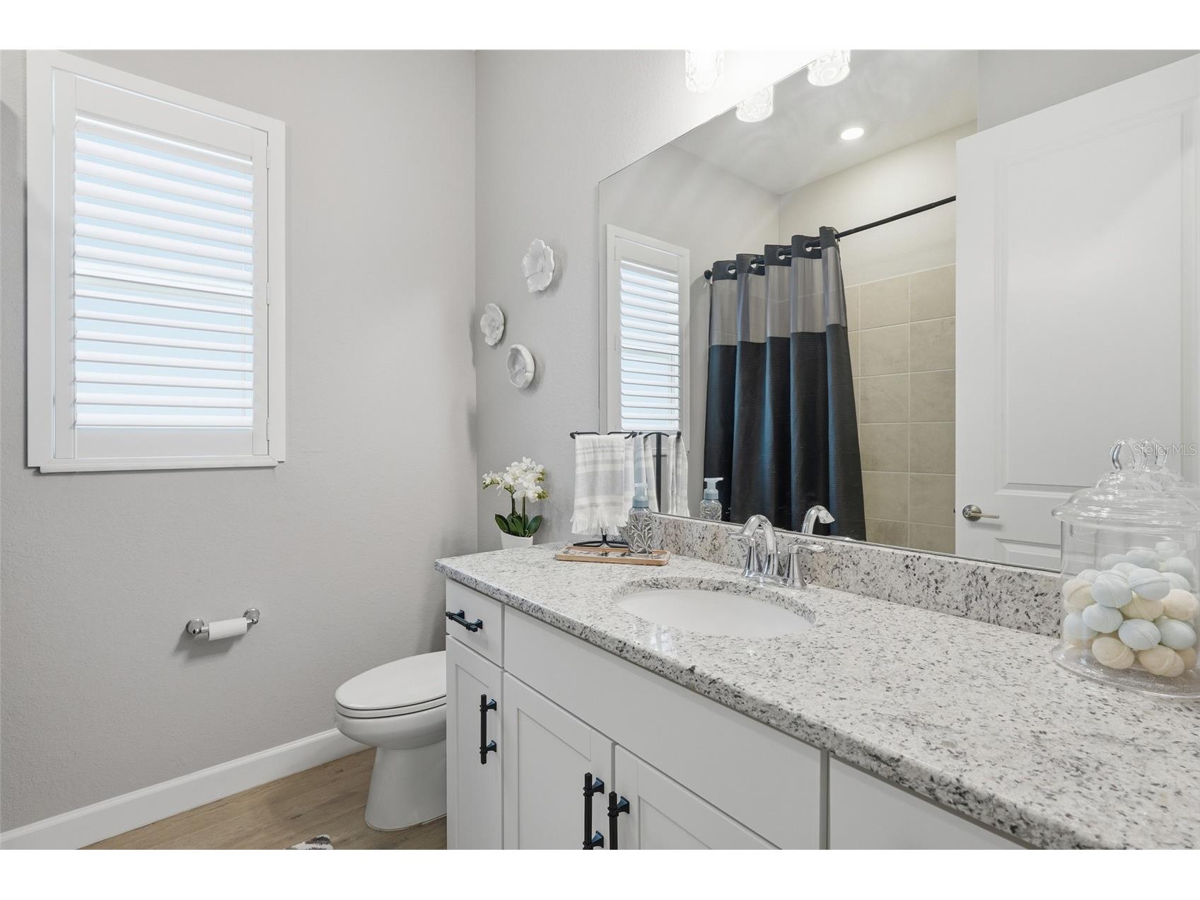 15357 River Birch Court Punta Gorda FL 33955 C7528624 image31