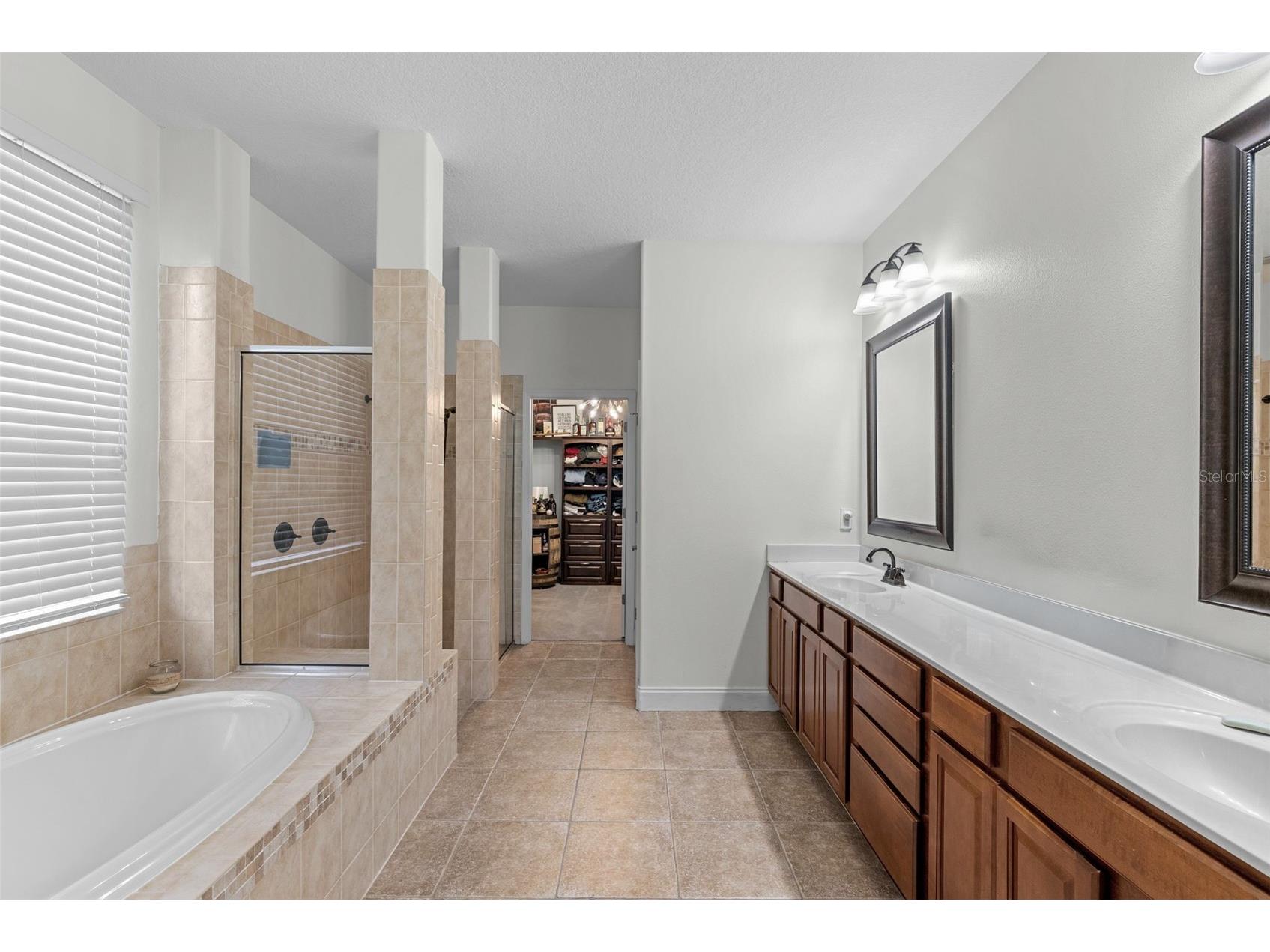 1536 Abyss Drive Odessa FL 33556 TB8513774 image23
