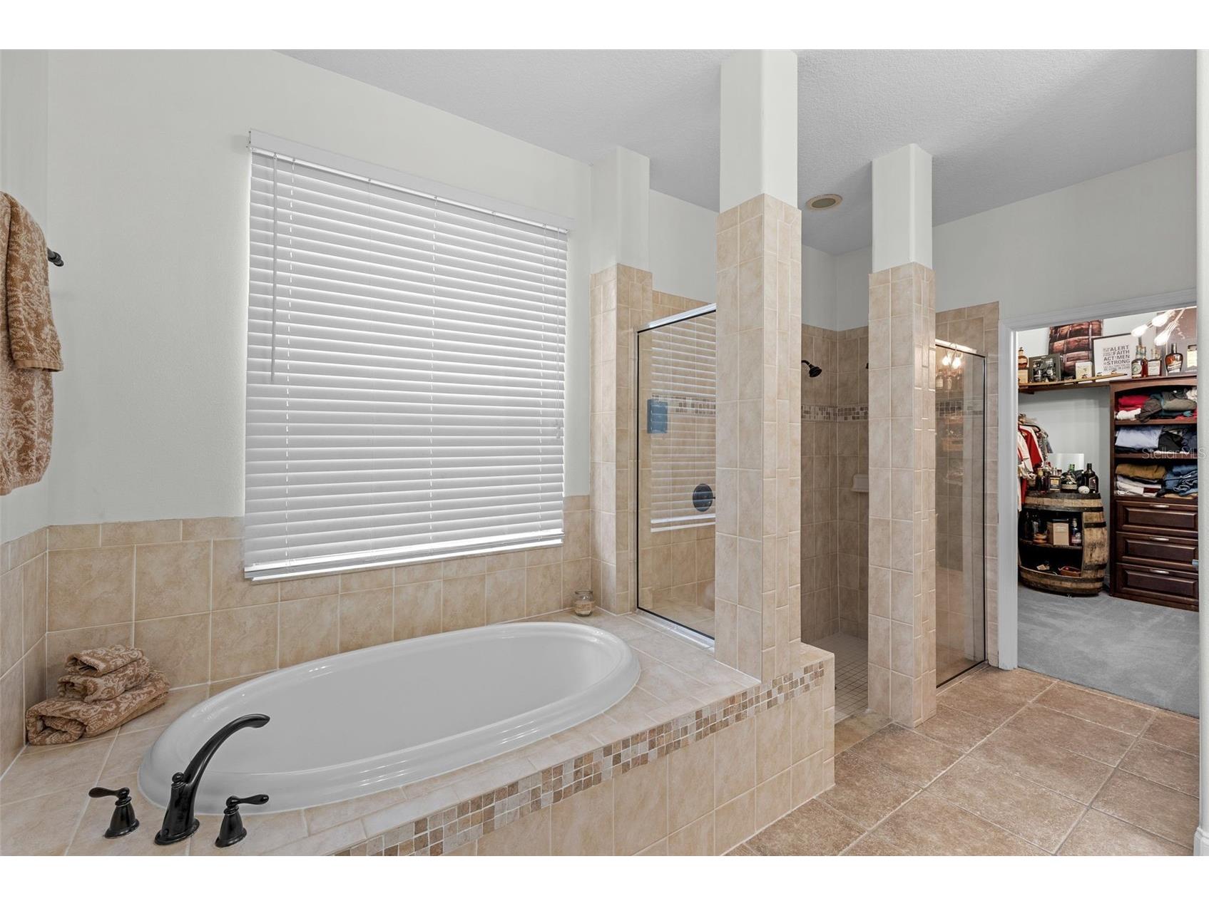 1536 Abyss Drive Odessa FL 33556 TB8513774 image24