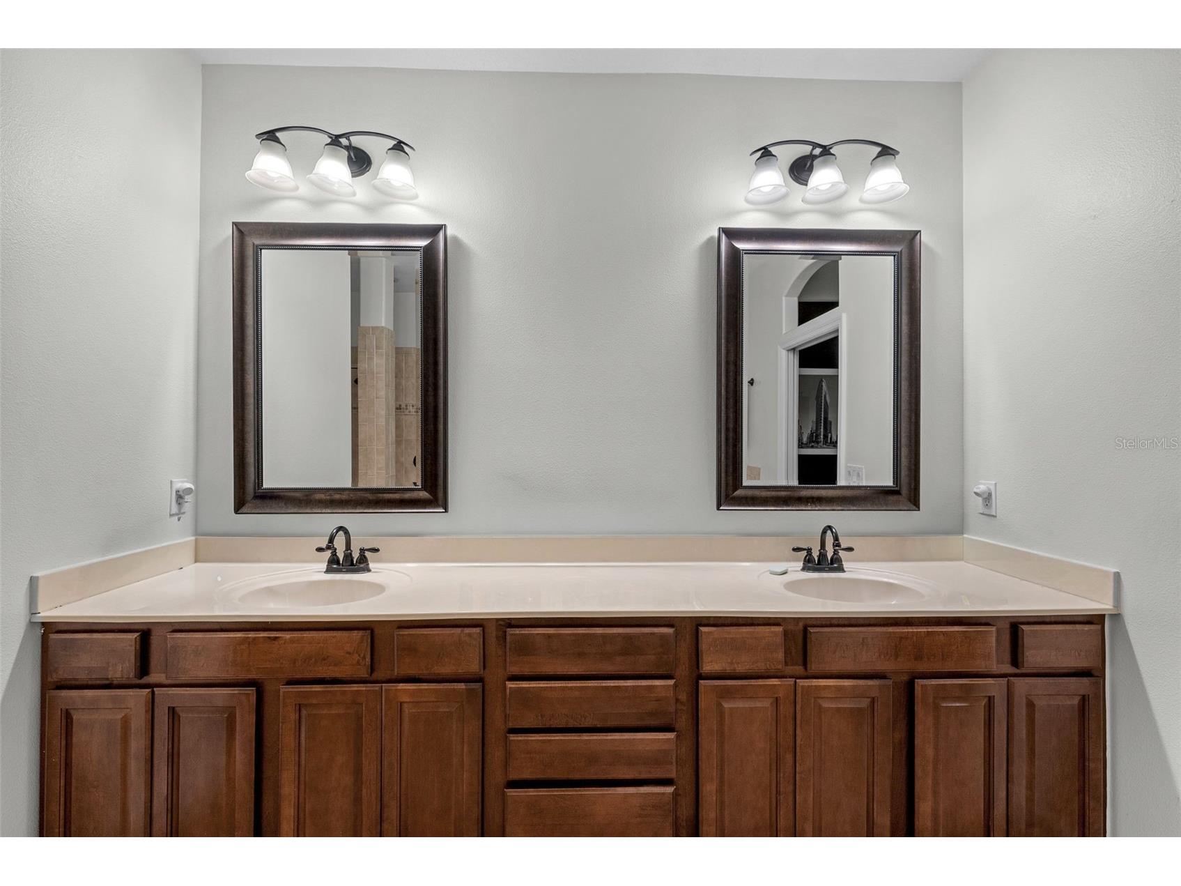 1536 Abyss Drive Odessa FL 33556 TB8513774 image25