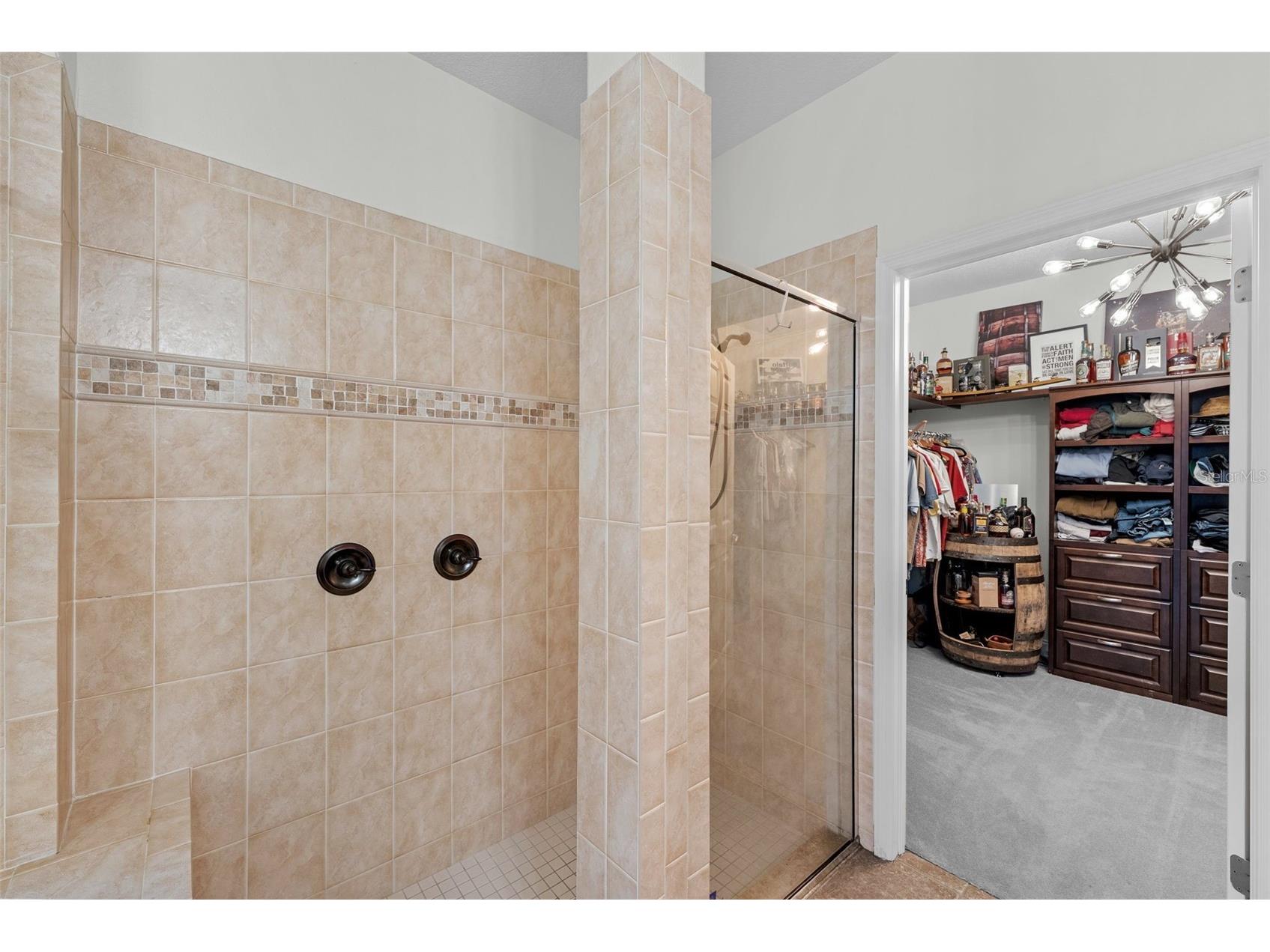 1536 Abyss Drive Odessa FL 33556 TB8513774 image26