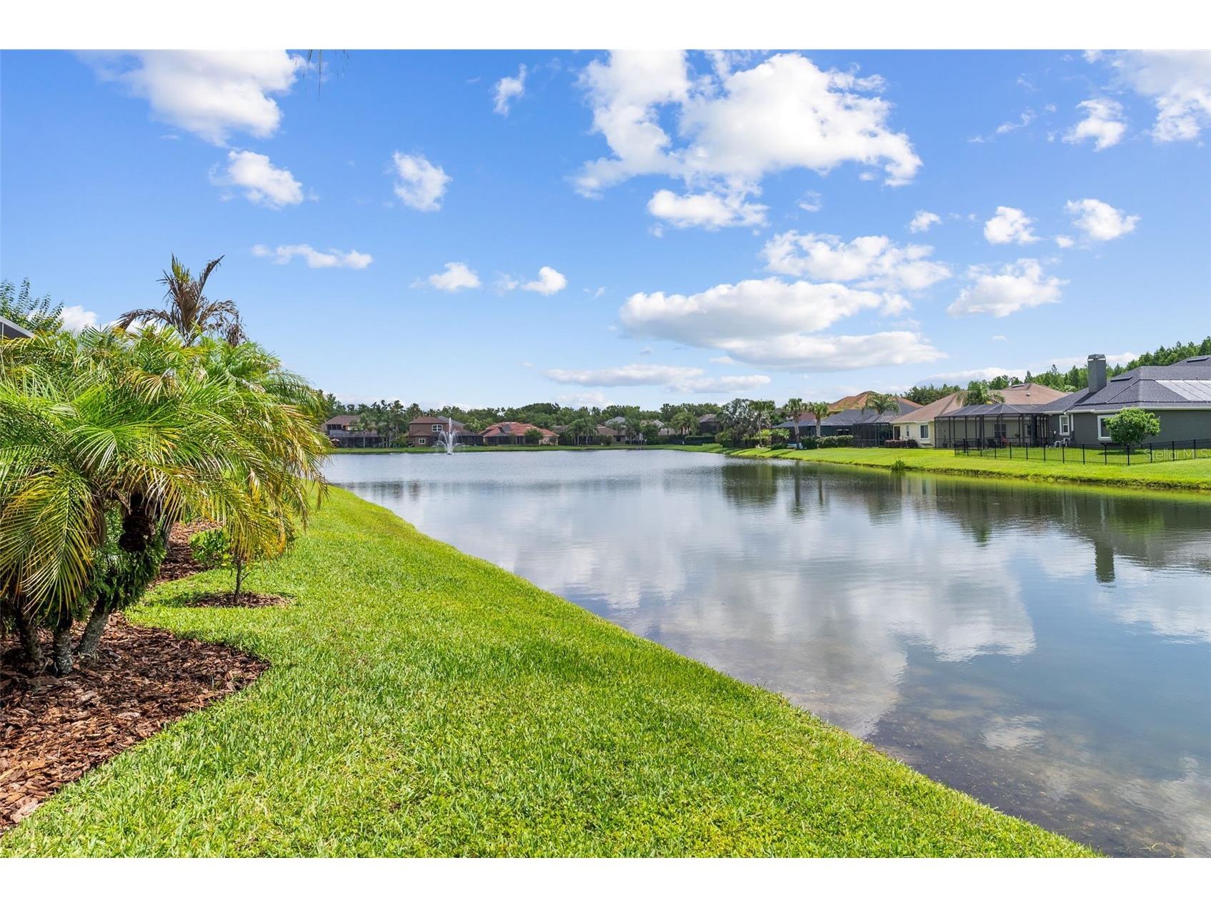 1536 Abyss Drive Odessa FL 33556 TB8513774 image49