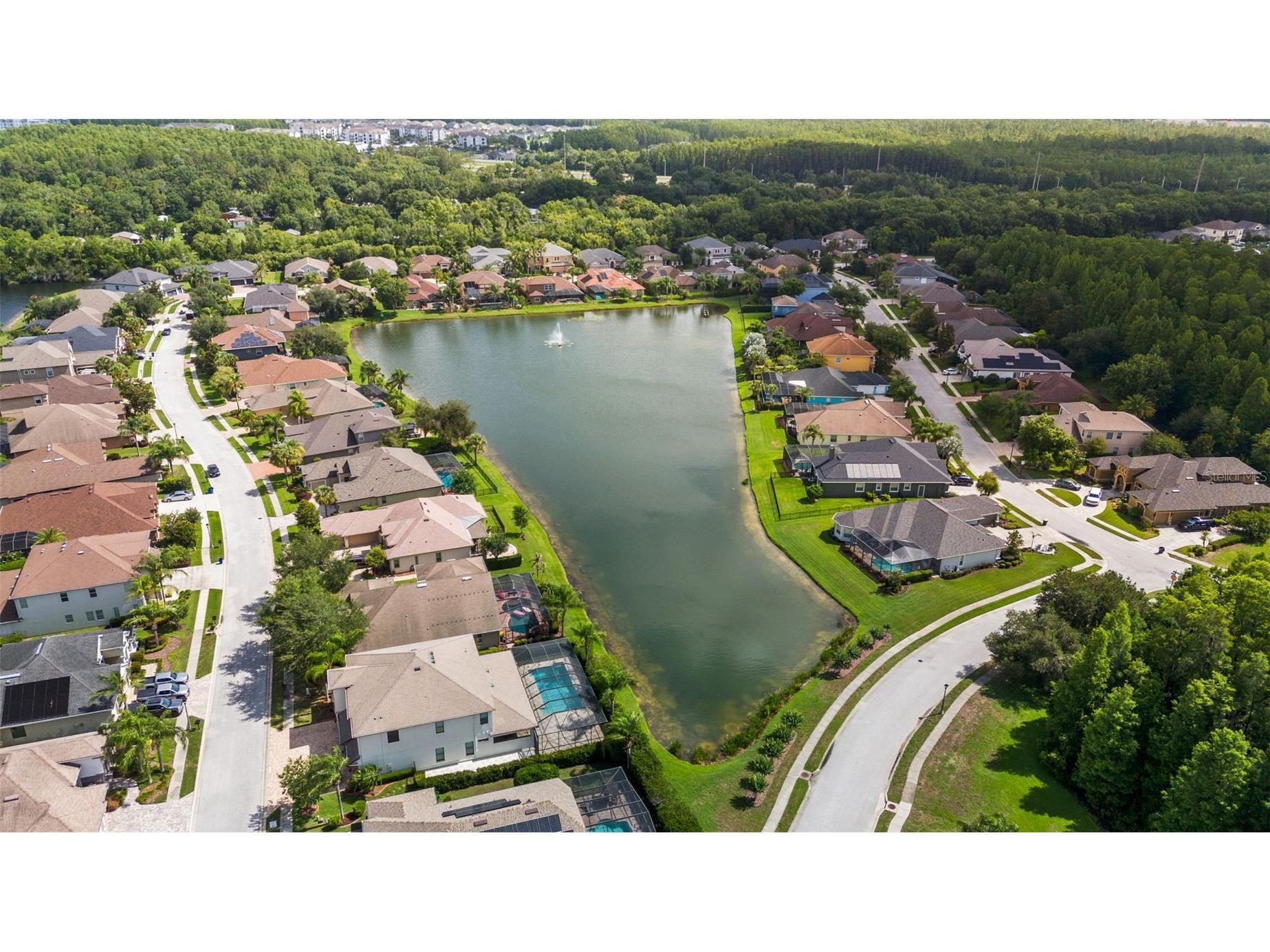 1536 Abyss Drive Odessa FL 33556 TB8513774 image51