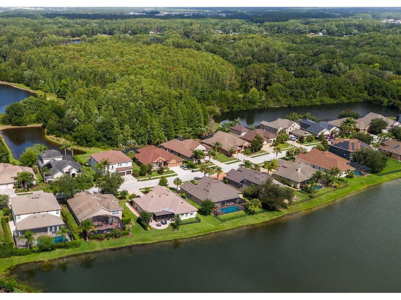 1536 Abyss Drive Odessa FL 33556 TB8513774 image52