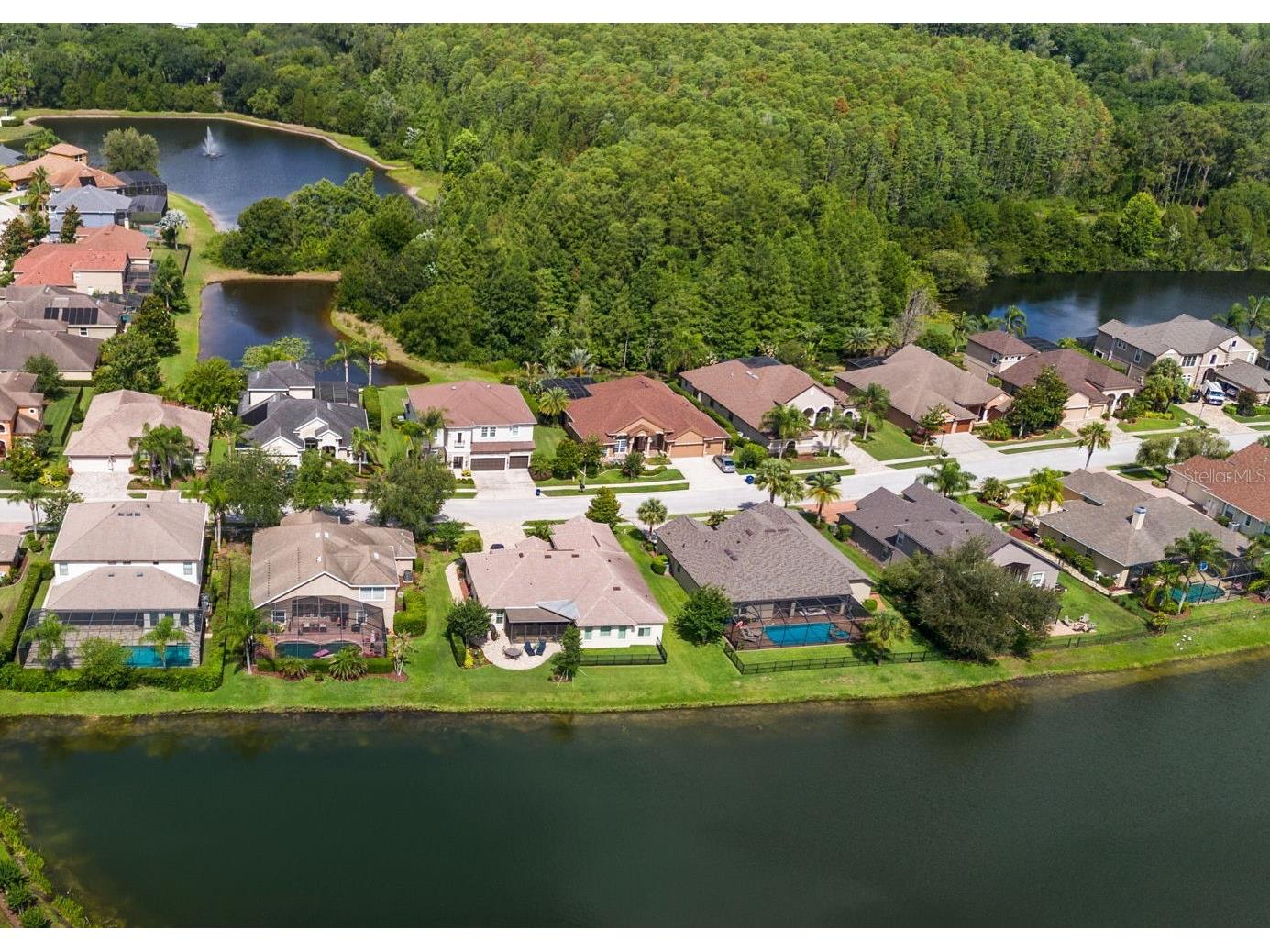 1536 Abyss Drive Odessa FL 33556 TB8513774 image53