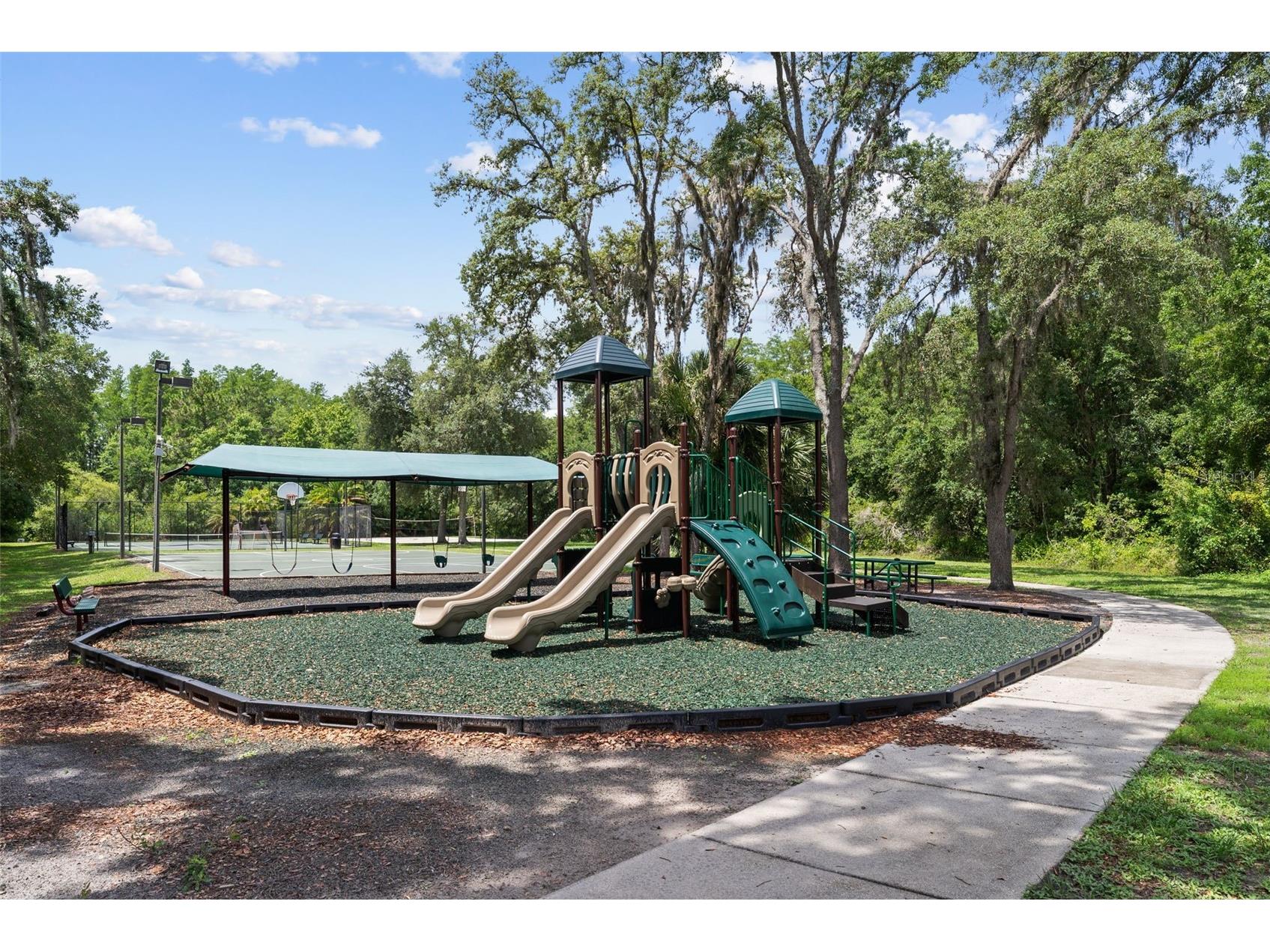 1536 Abyss Drive Odessa FL 33556 TB8513774 image56